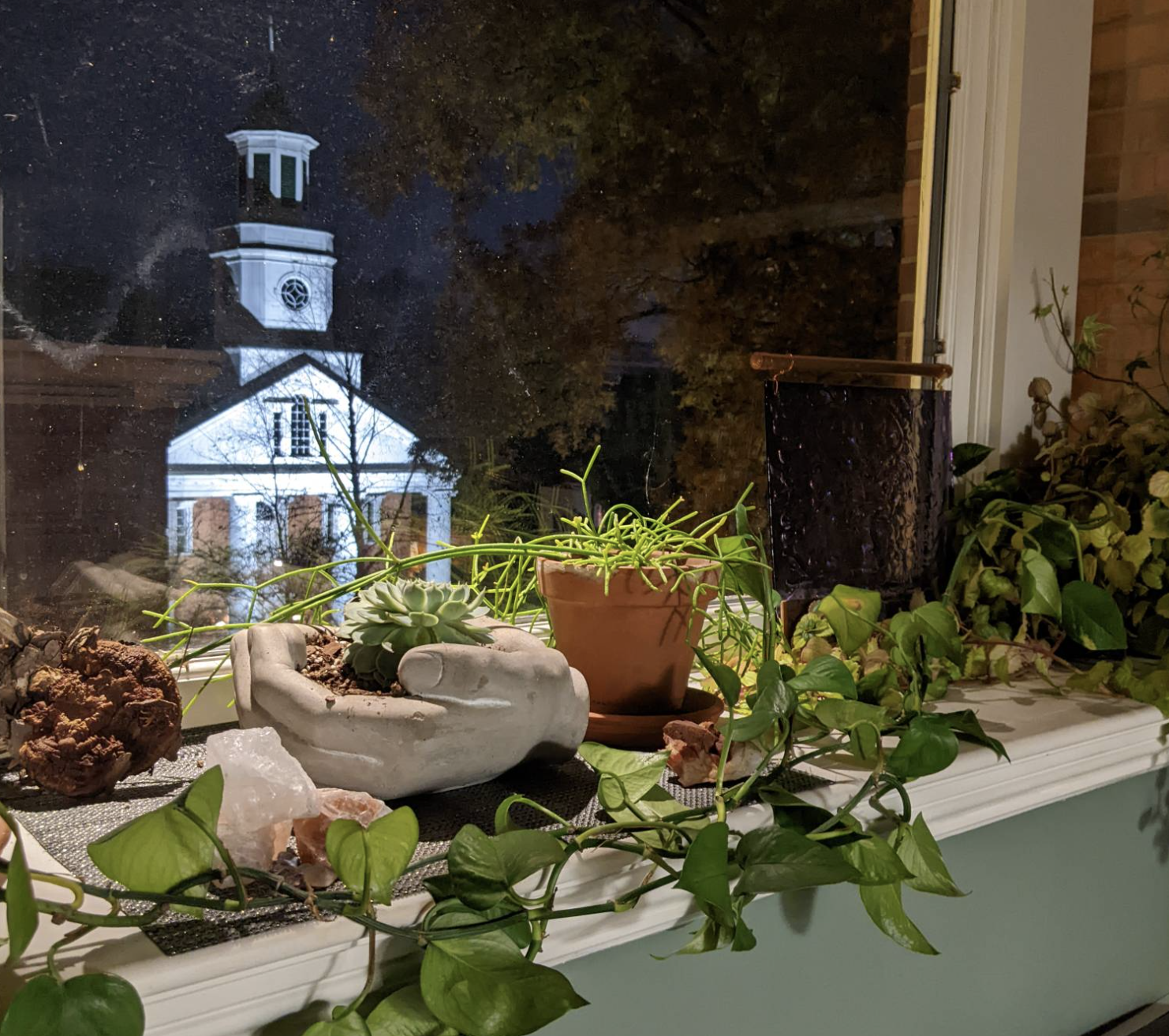 Screenshot 2026-03-11 at 11.48.10 AM.png