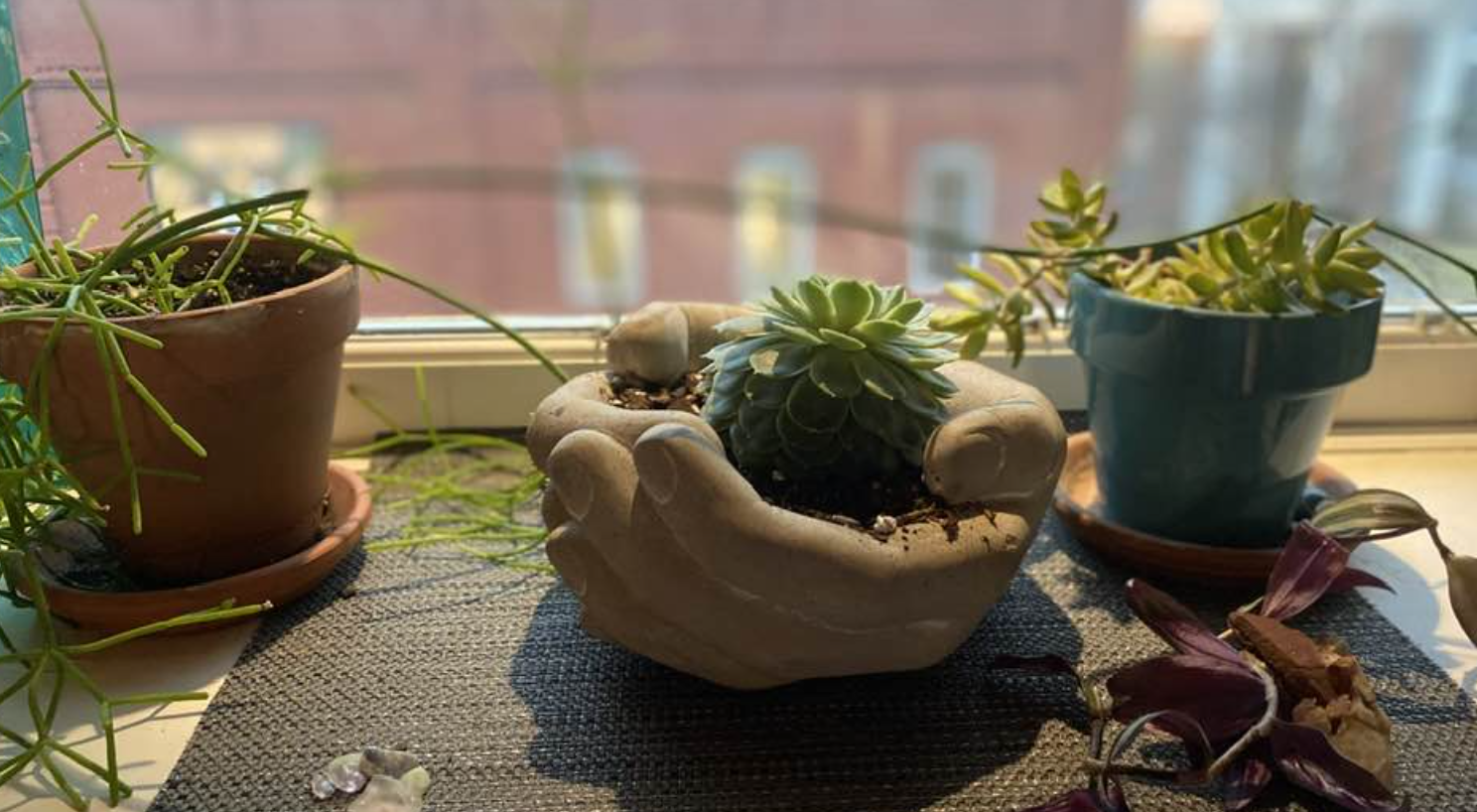 Screenshot 2026-03-11 at 11.46.36 AM.png