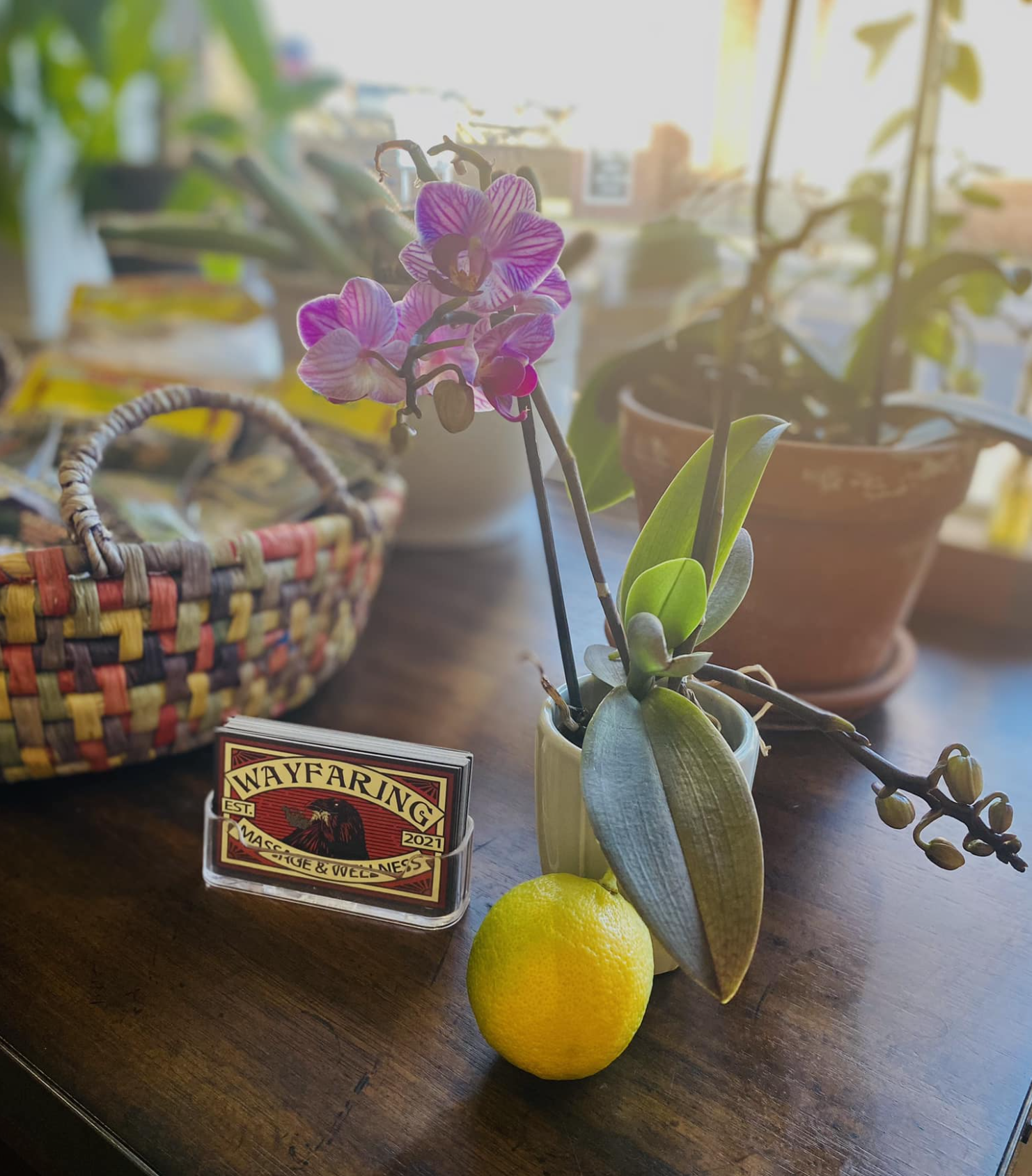 Screenshot 2026-03-11 at 11.43.25 AM.png