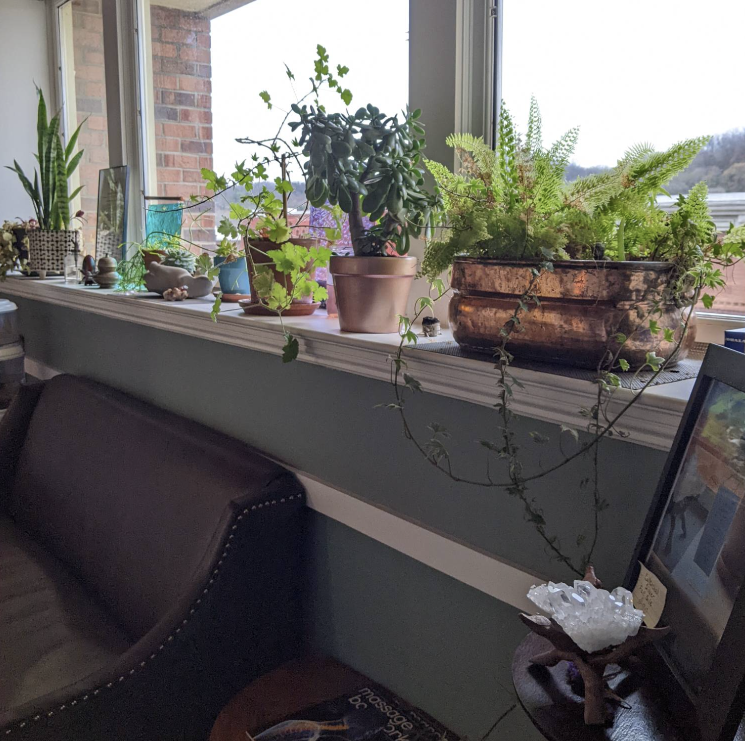 Screenshot 2026-03-11 at 11.47.25 AM.png