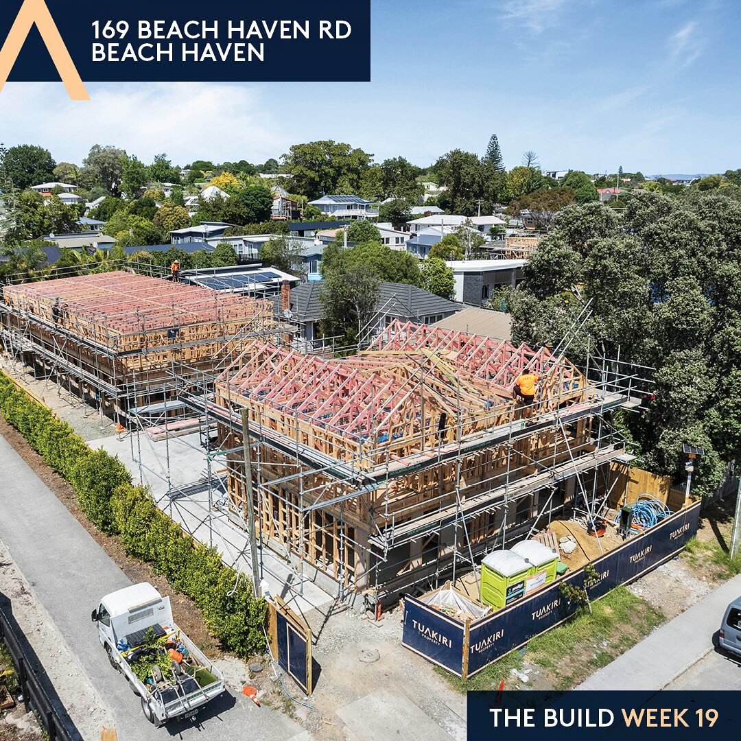 169 Beach Haven Road has had fantastic progress. Framing is nearly complete as we move onto roof install. This great weather has been so welcomed.