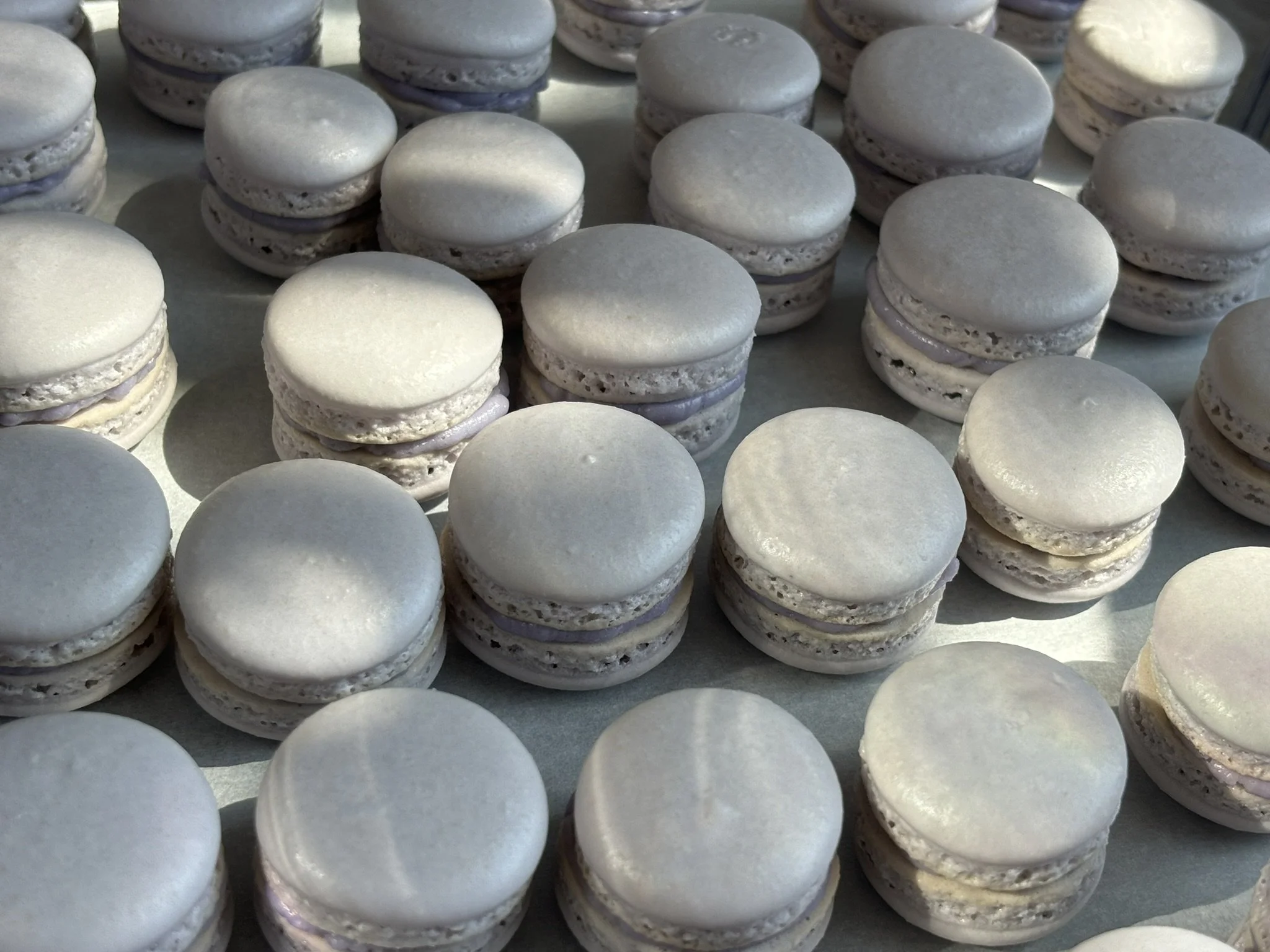 Lavender Macarons