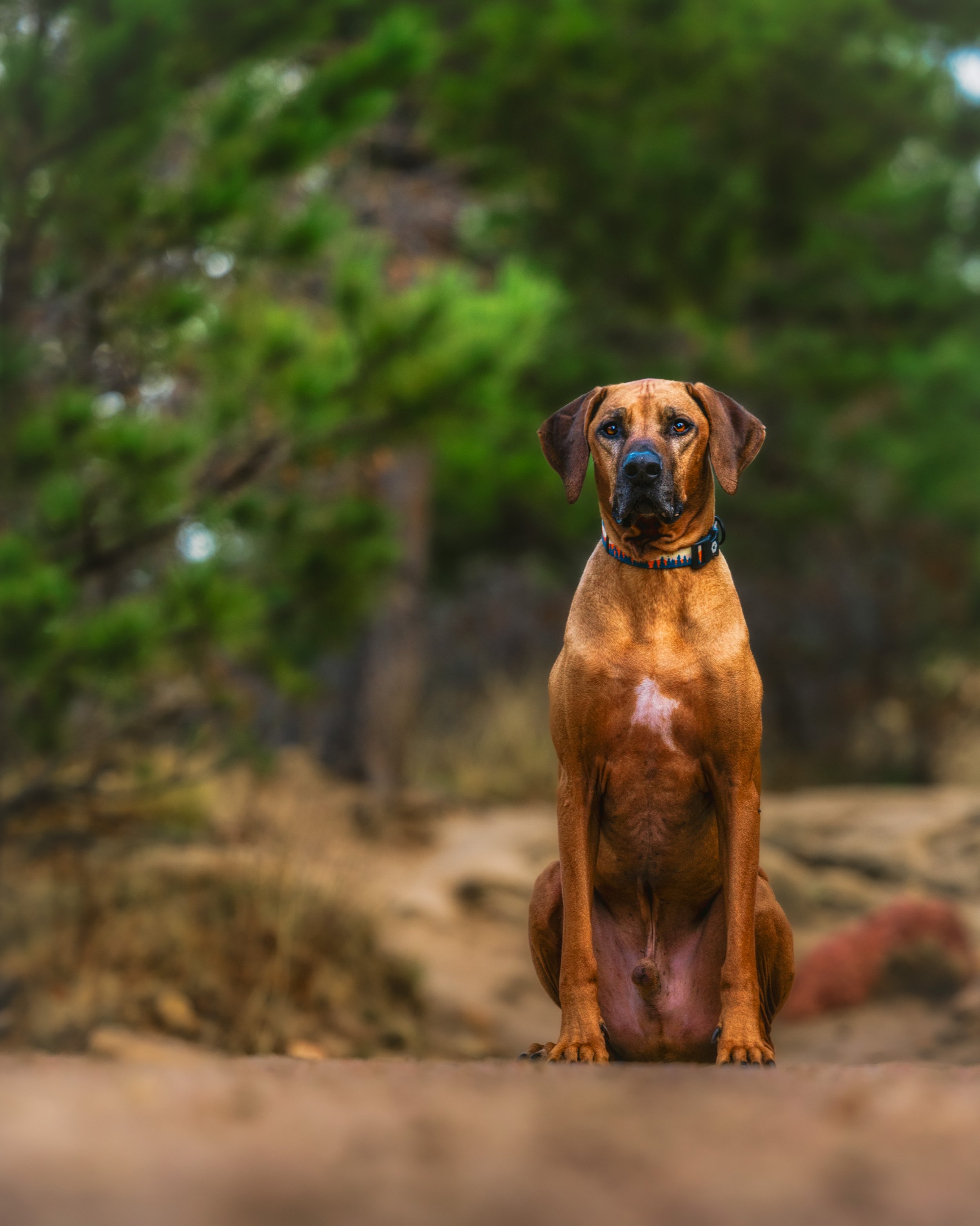 CK1A1445-Edit.jpg