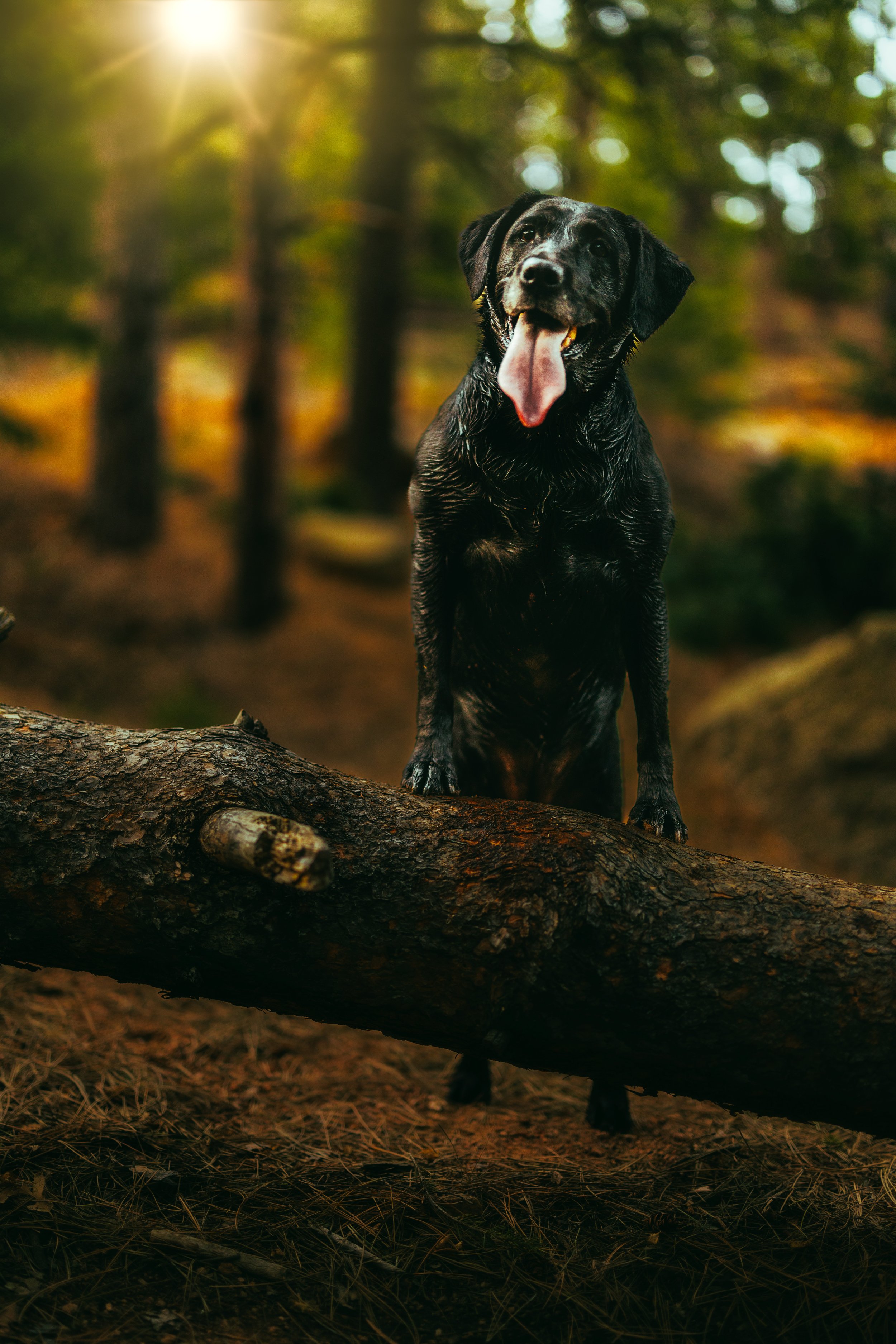 0E4A9747-Edit.jpg