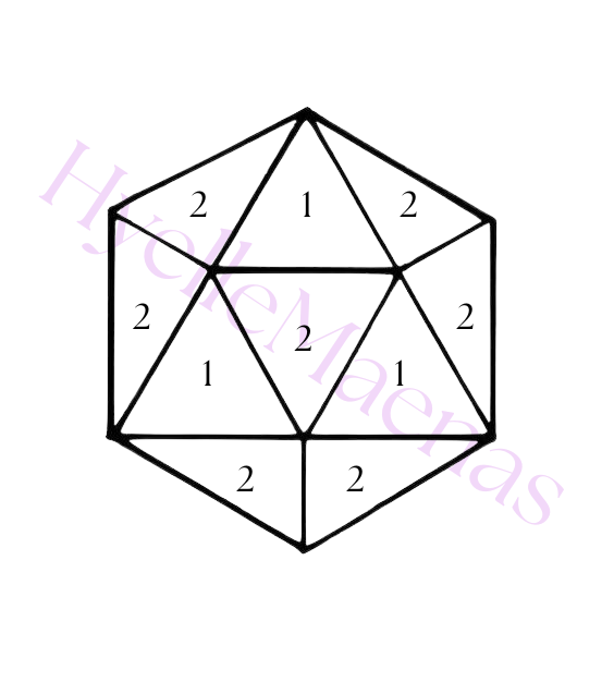 D20 Website.png