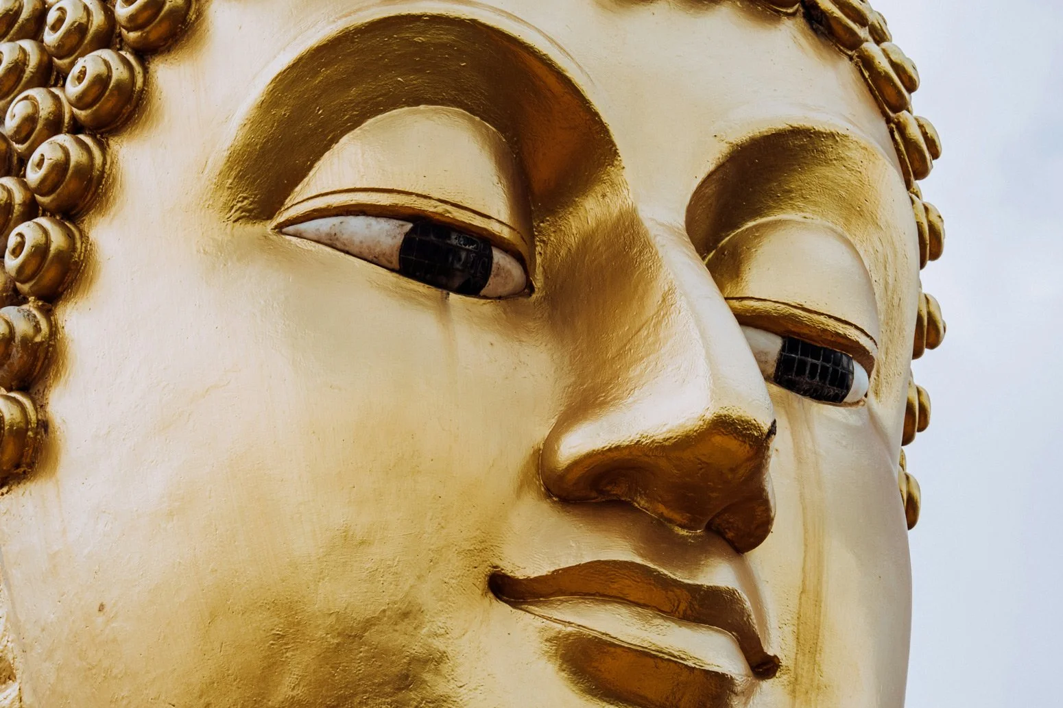 Class: The Paramitas or How to Be Compassion in Action
