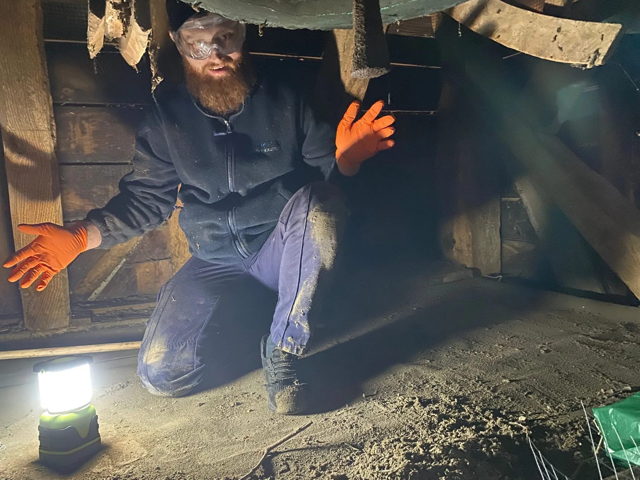 WhatsApp Image 2026-02-08 at 07.56.06.jpeg