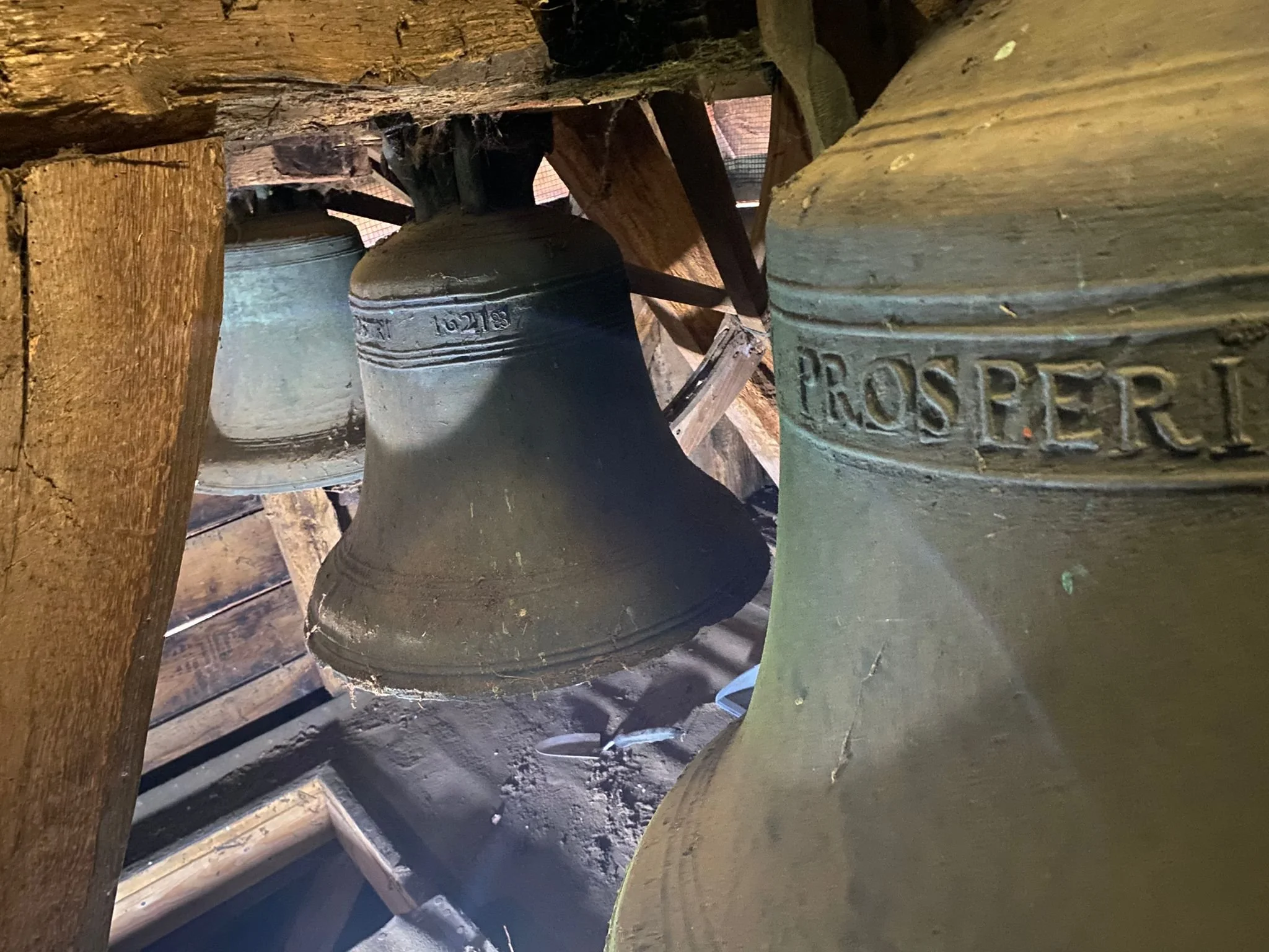 WhatsApp Image 2026-02-08 at 07.56.05 (1).jpeg