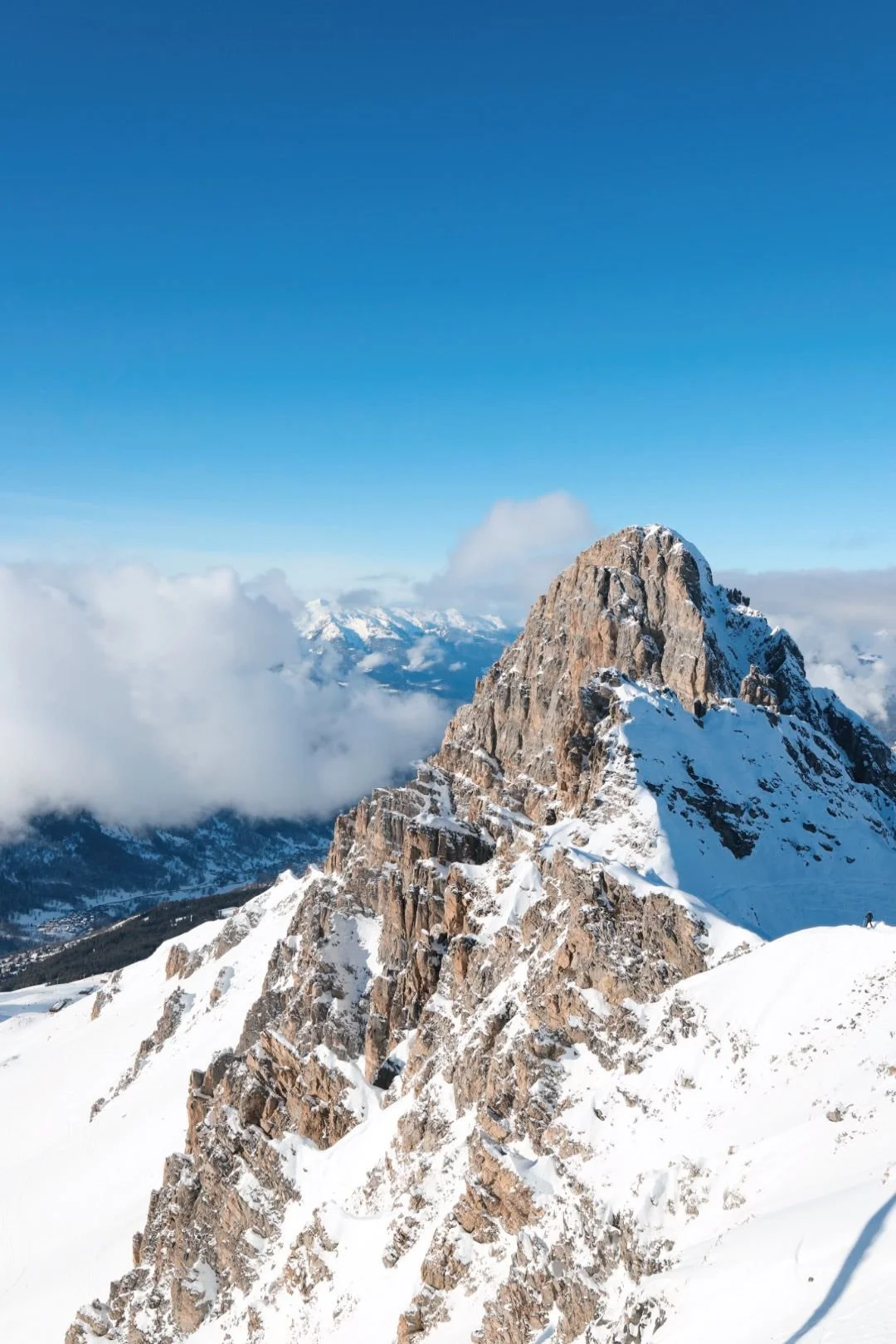 WhatsApp Image 2026-01-28 at 08.06.48.jpeg