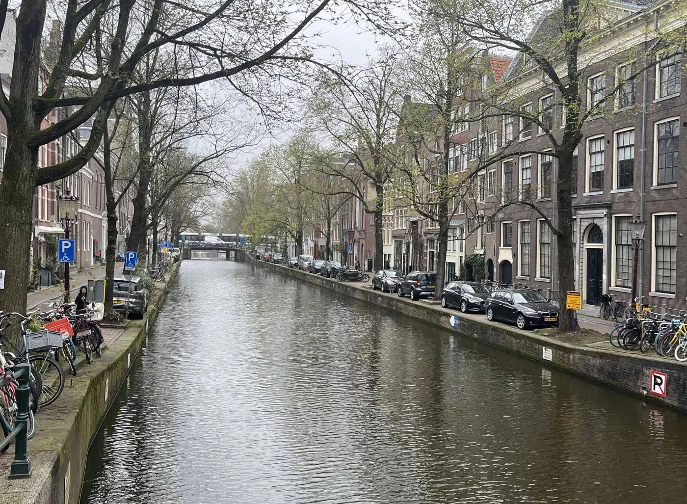 Amsterdam Surveillance for a Financial Exploitation Case