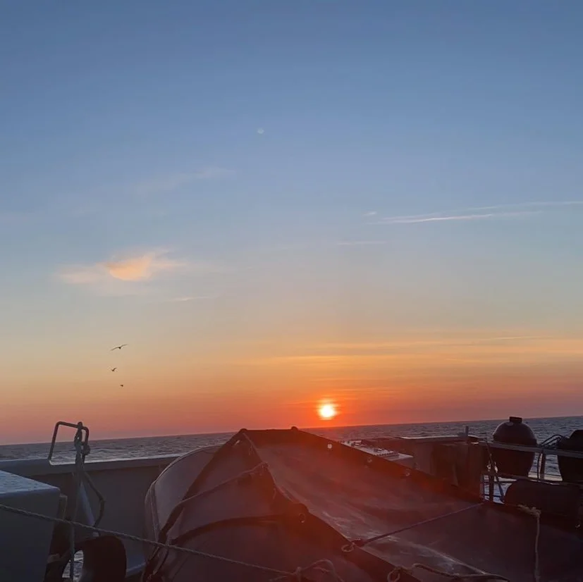 Sunset over the ocean viewed from a boat, with the sky transitioning from blue to orange, and a few birds flying nearby.