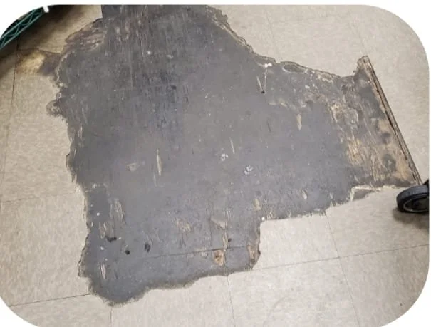 WhatsApp Image 2023-11-19 at 5.46.11 PM (3).jpeg