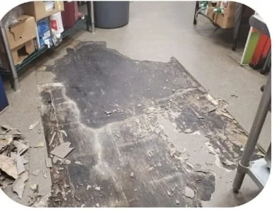 WhatsApp Image 2023-11-19 at 5.46.11 PM (2).jpeg