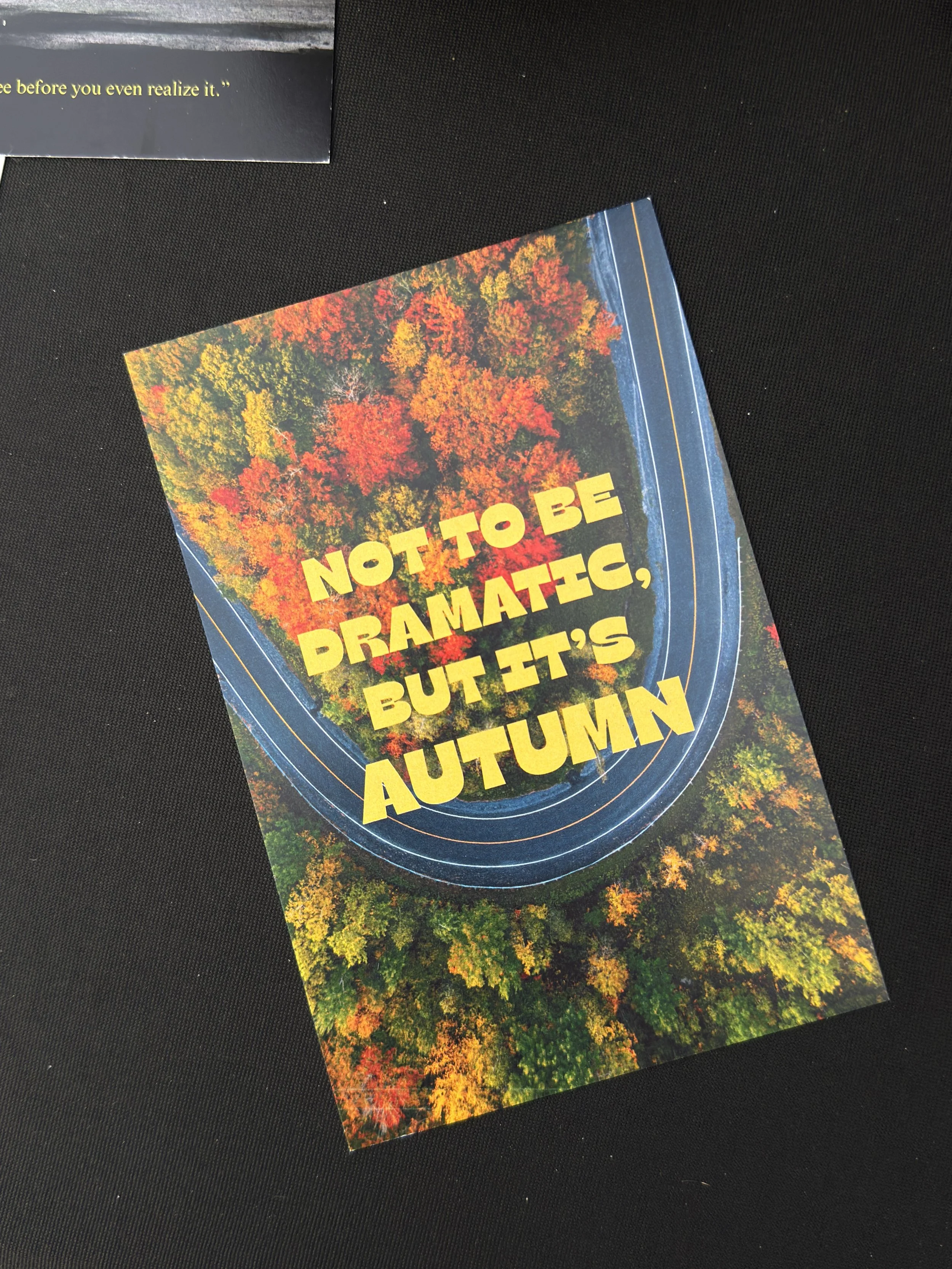 IMG_2582.jpeg