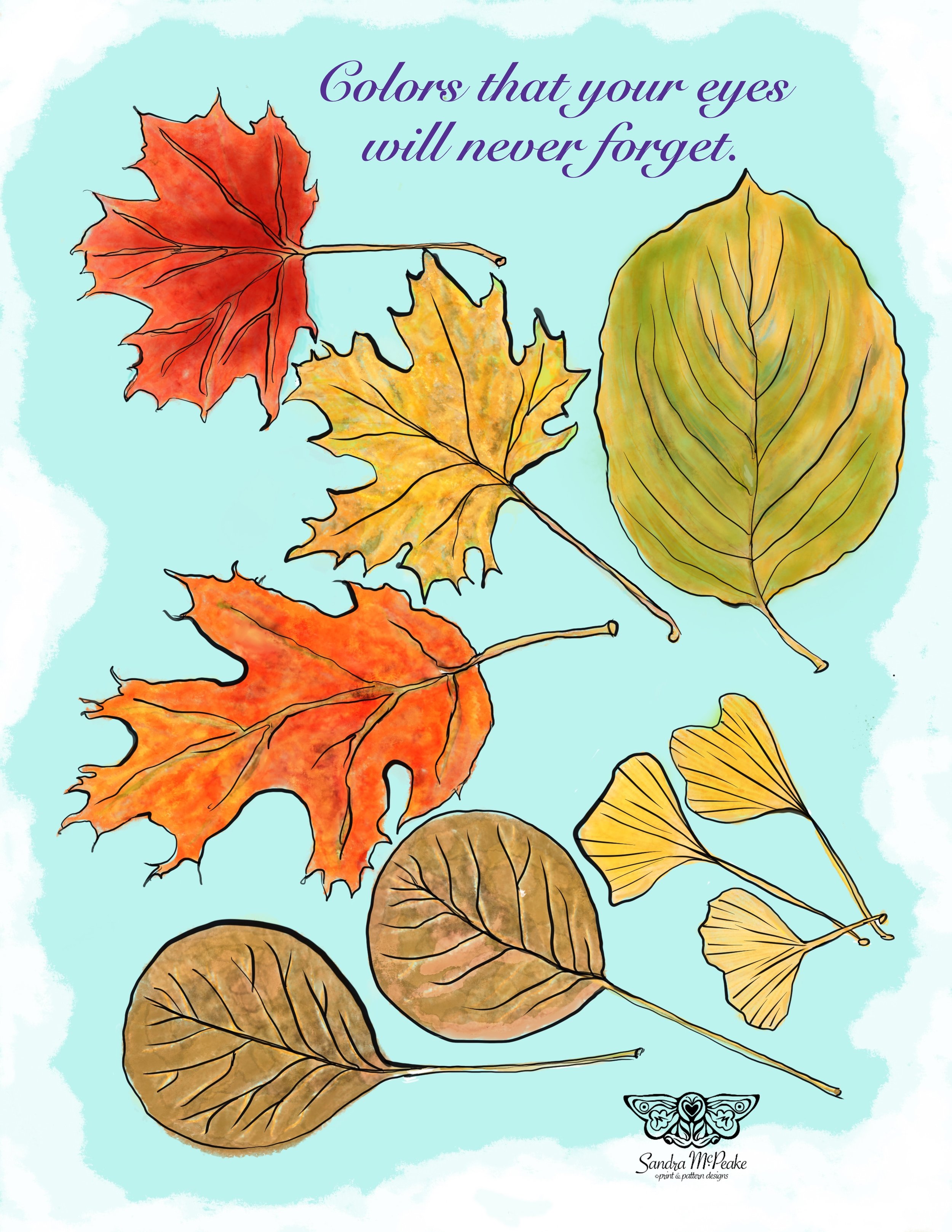 Leaves.jpg