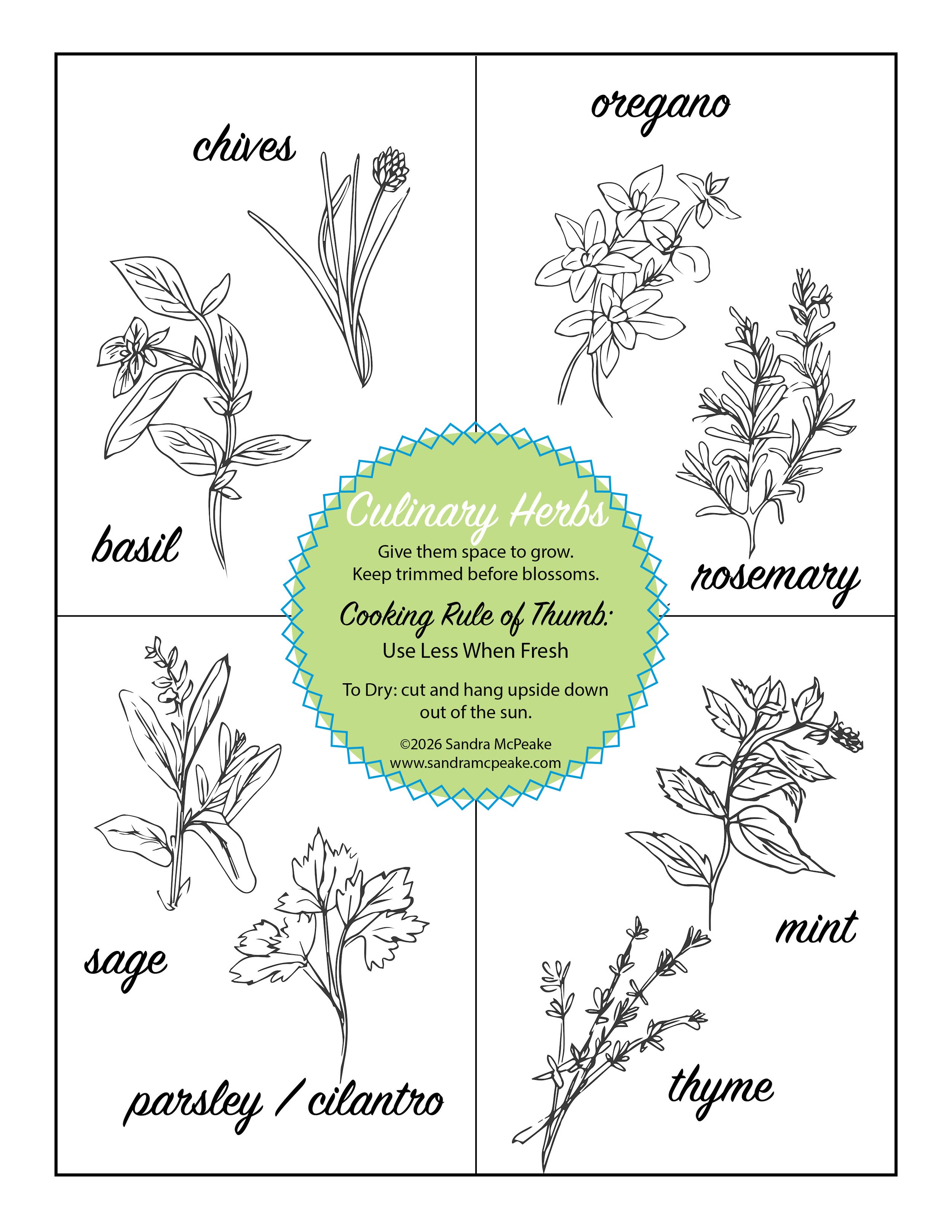 Culinary Herb Sheet