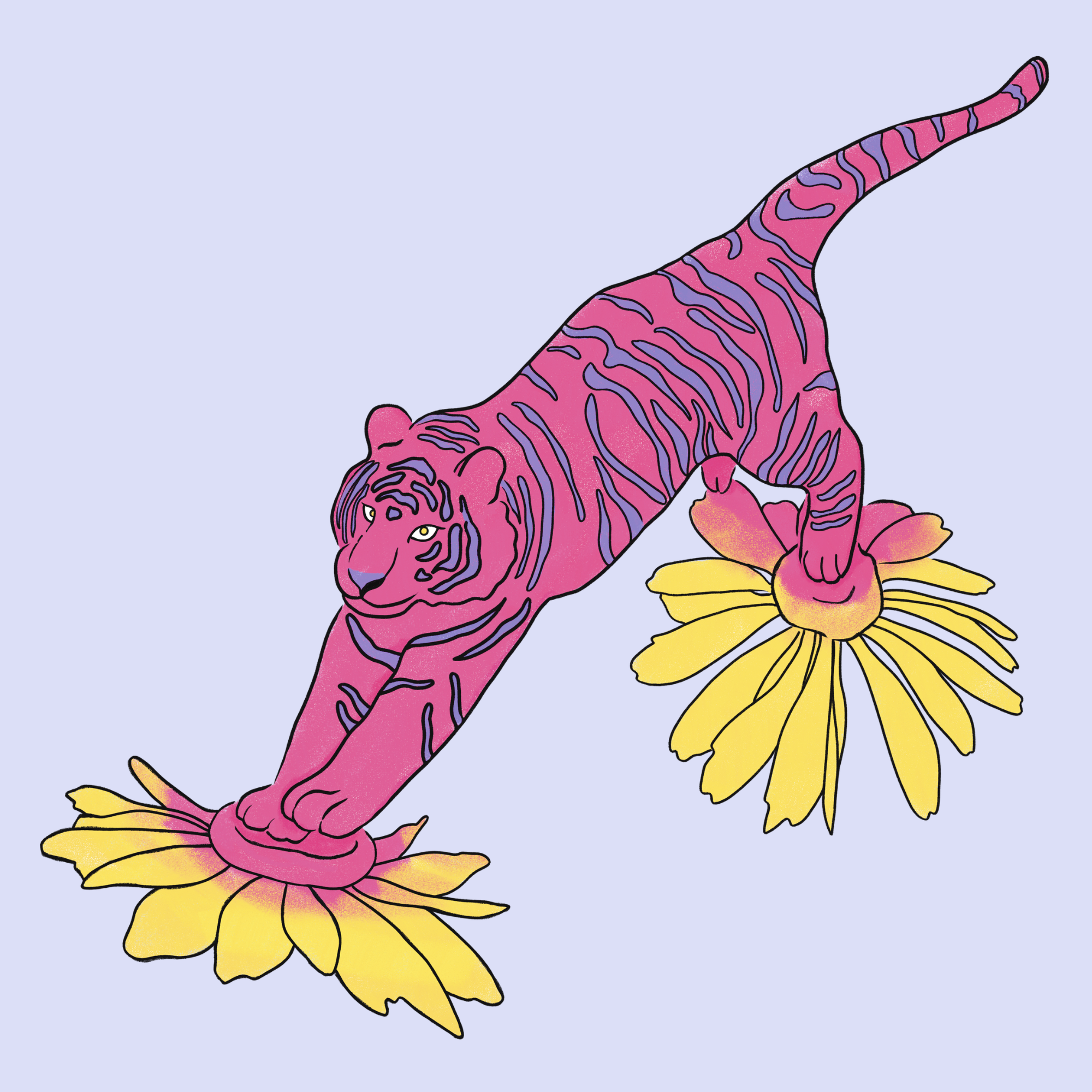 4.png