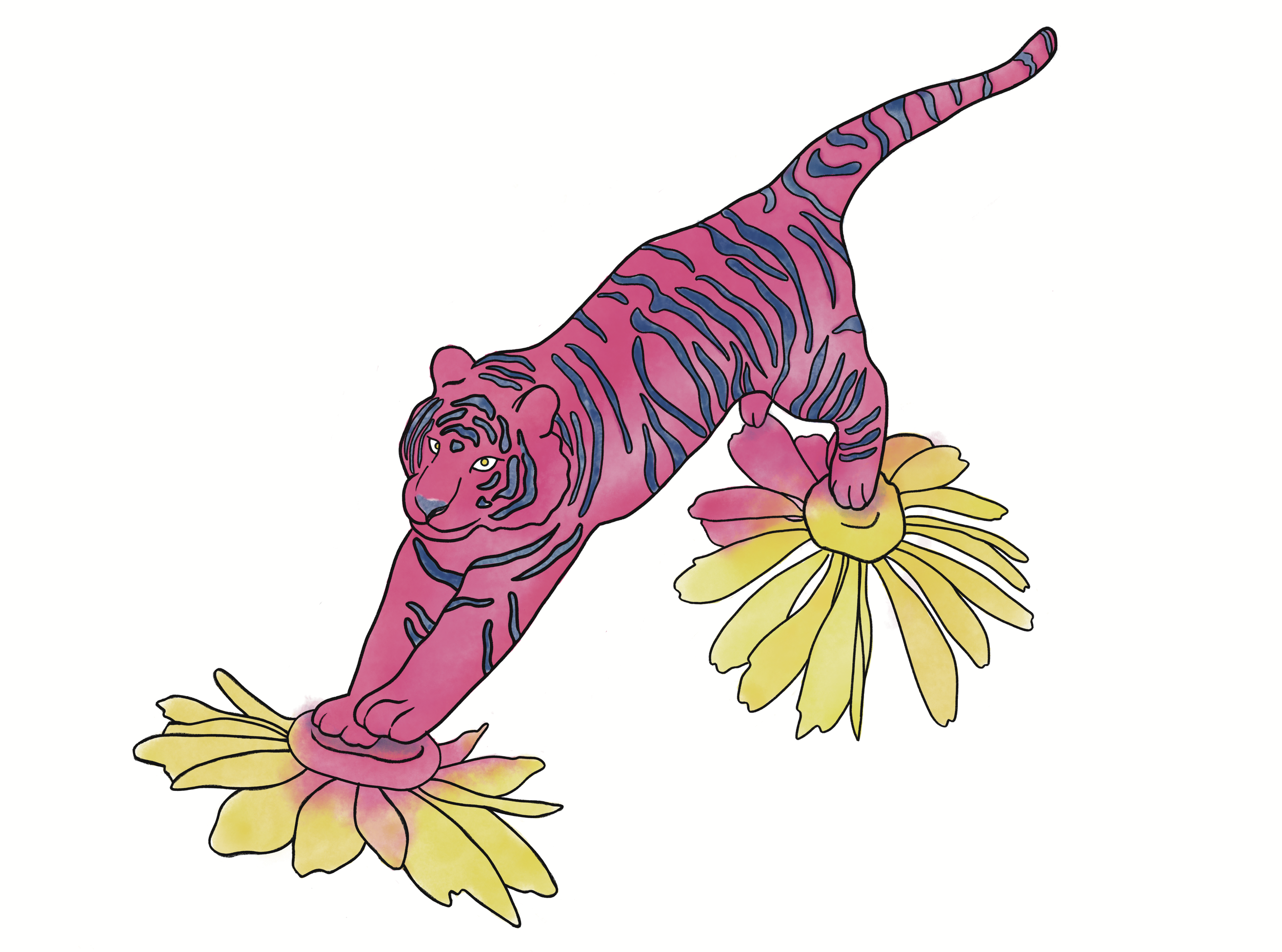 TigerWalkingMiddle_illustrationhelennesburg.png
