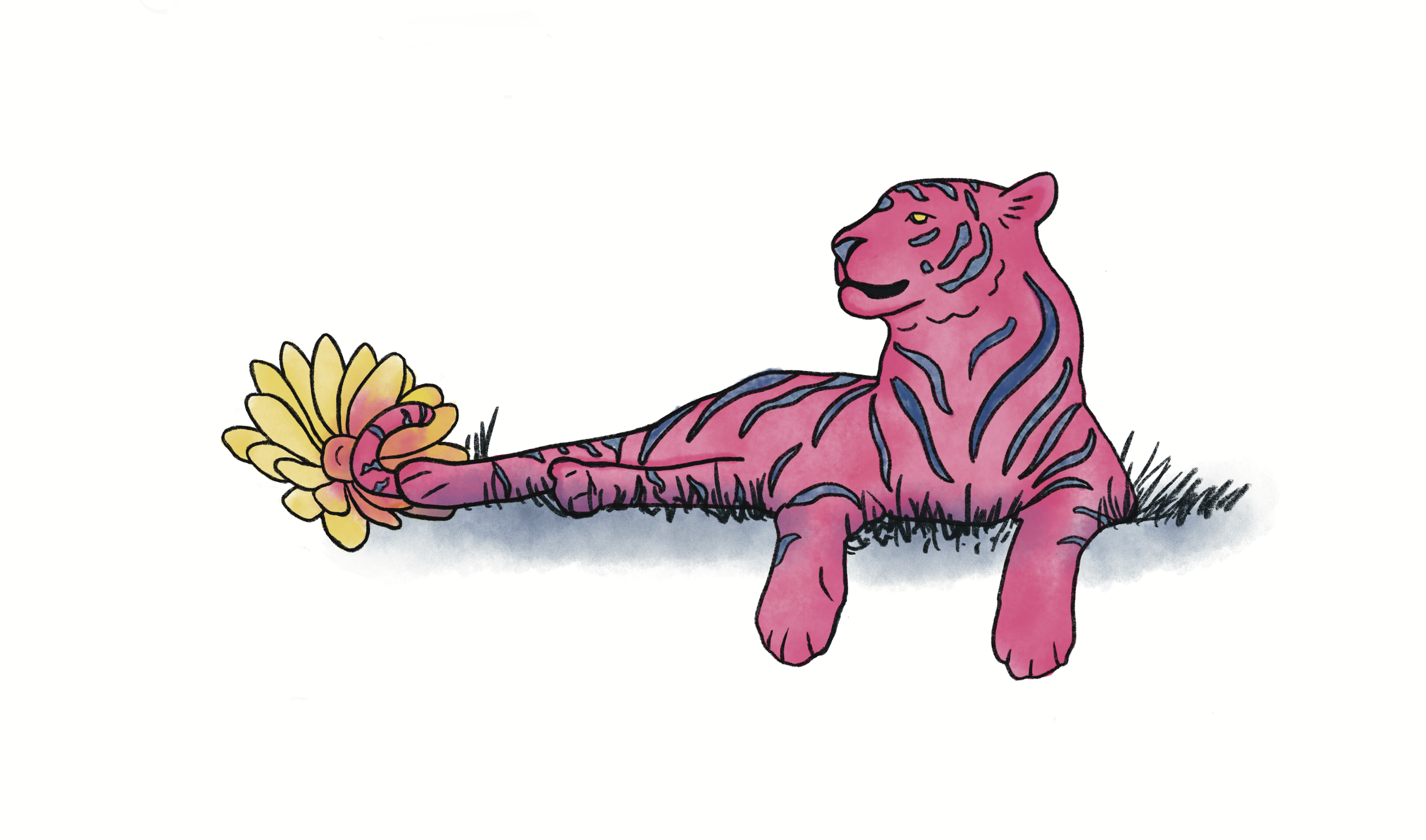 TigerBottom_illustrationhelennesburg.png