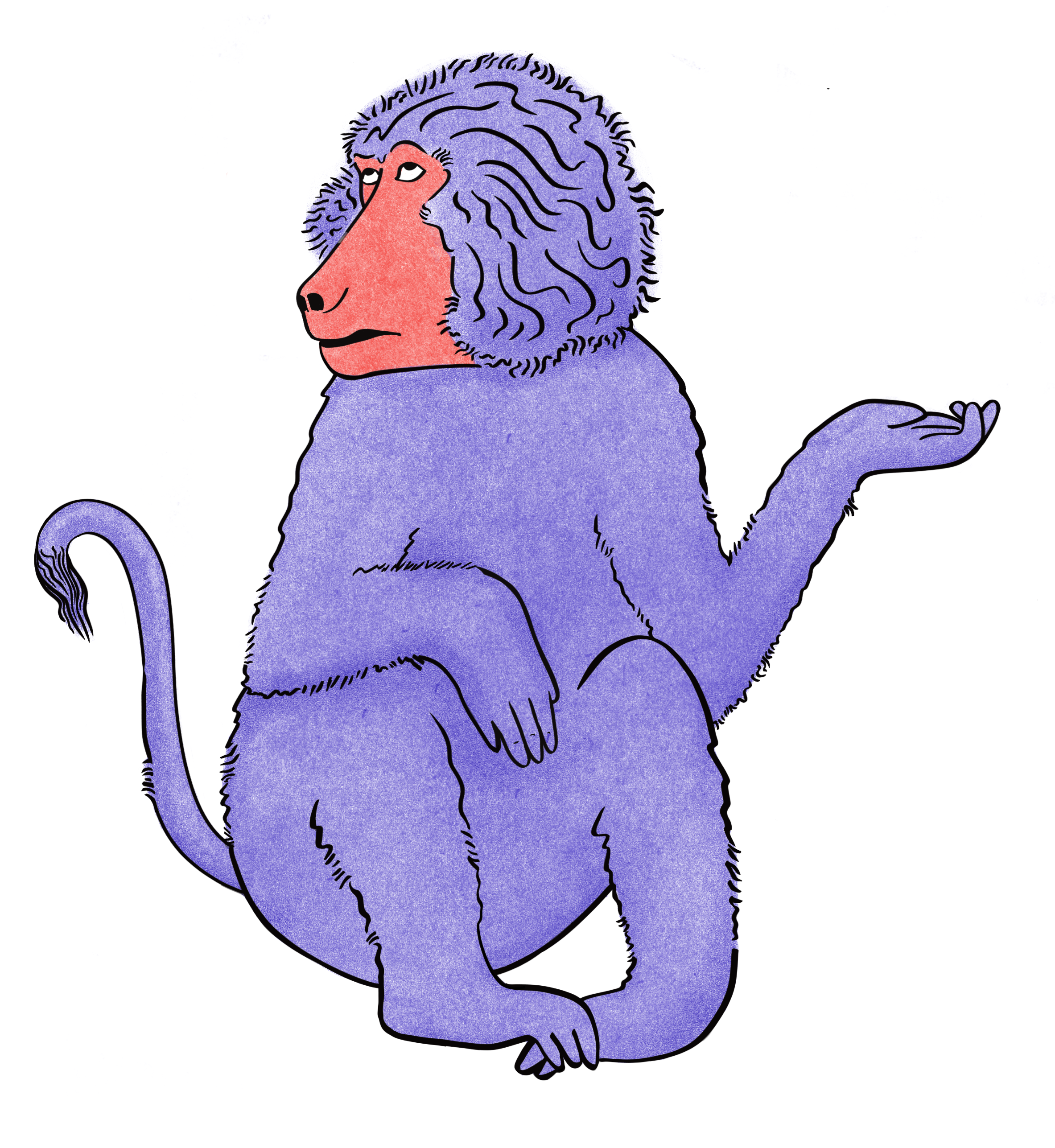 BaboonsmIllustration_HelenNesburg.png