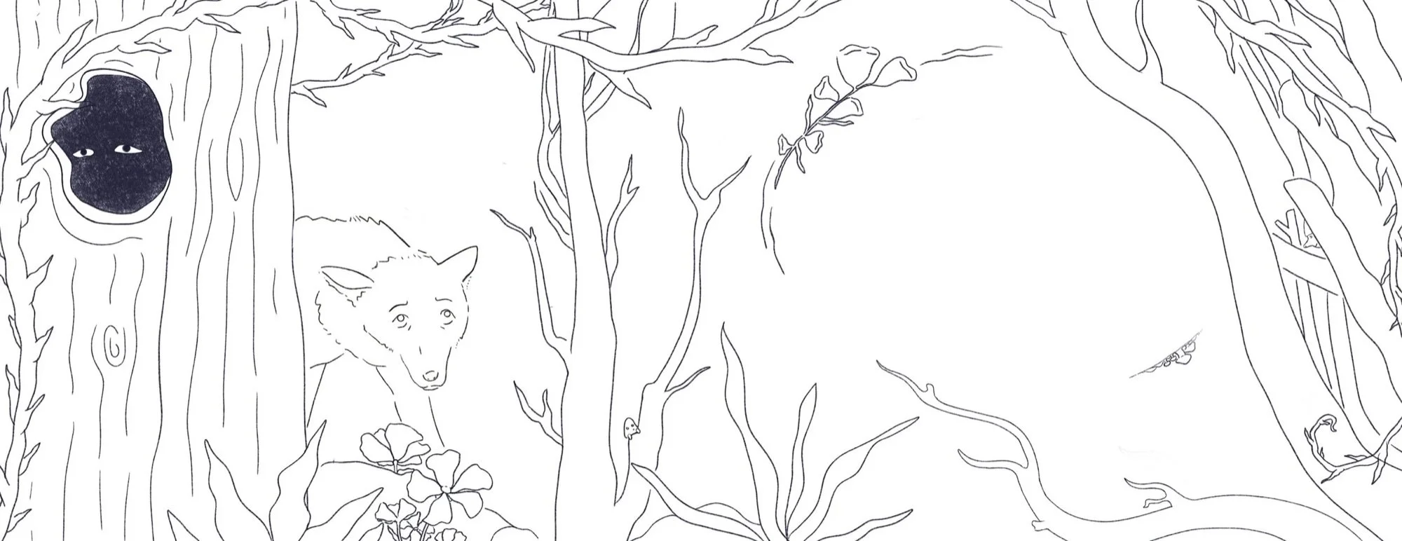 sienna-the-wolf-temp-4_web.jpg