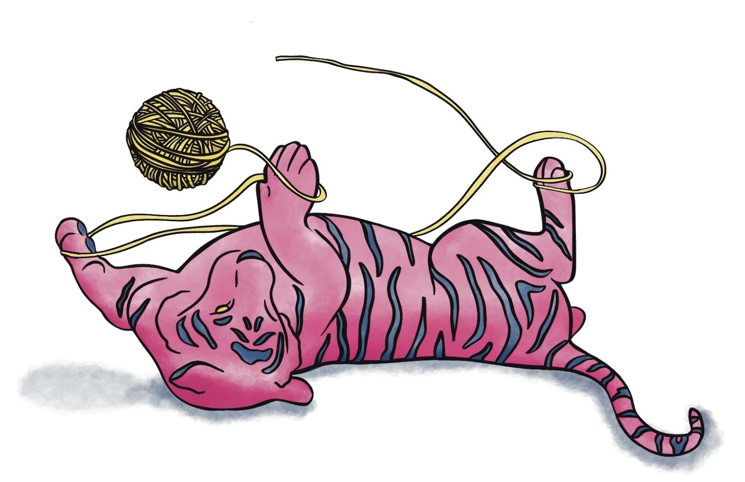 tigerandyarn_helennesburgillustration.jpeg