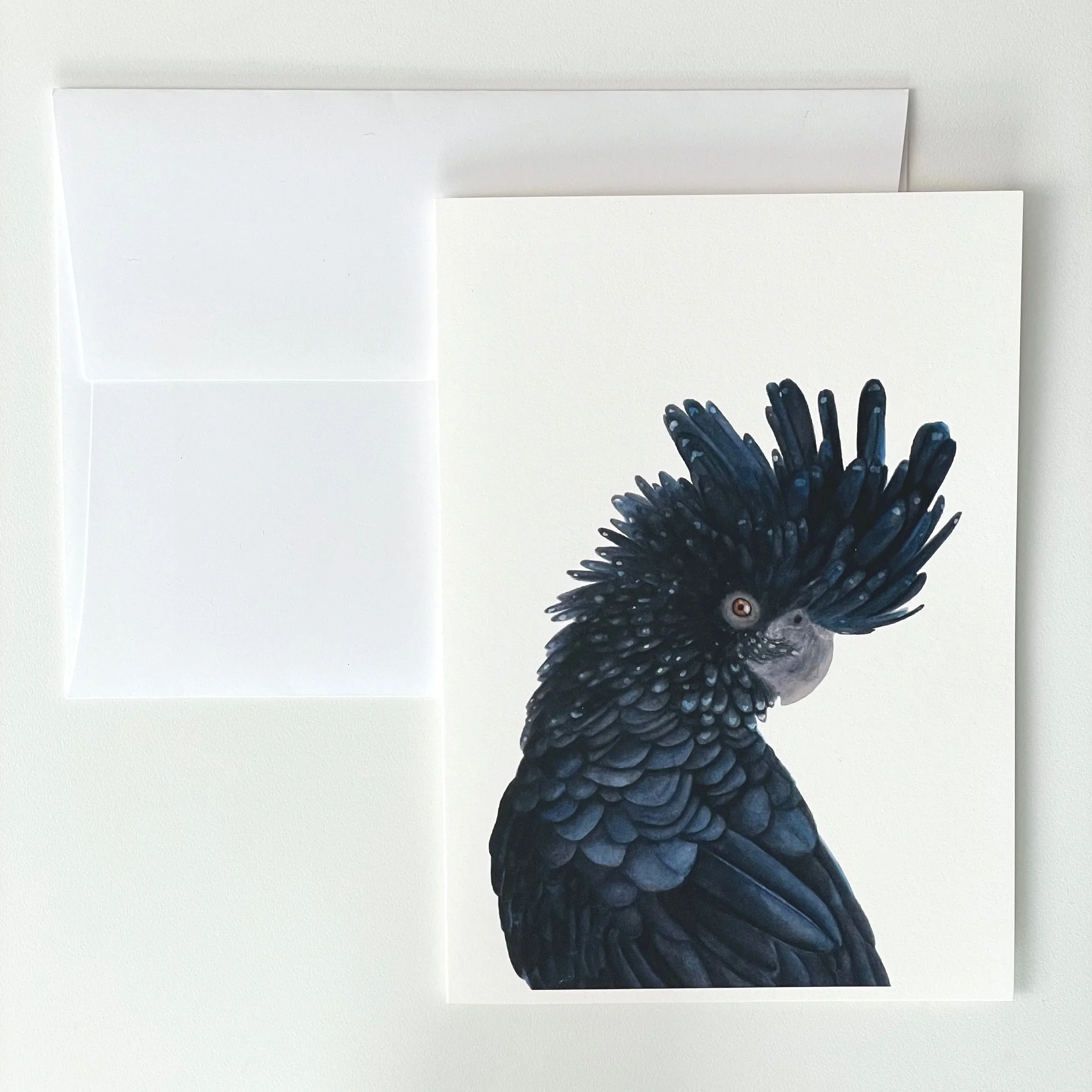 Fine Art Card - Black Cockatoo