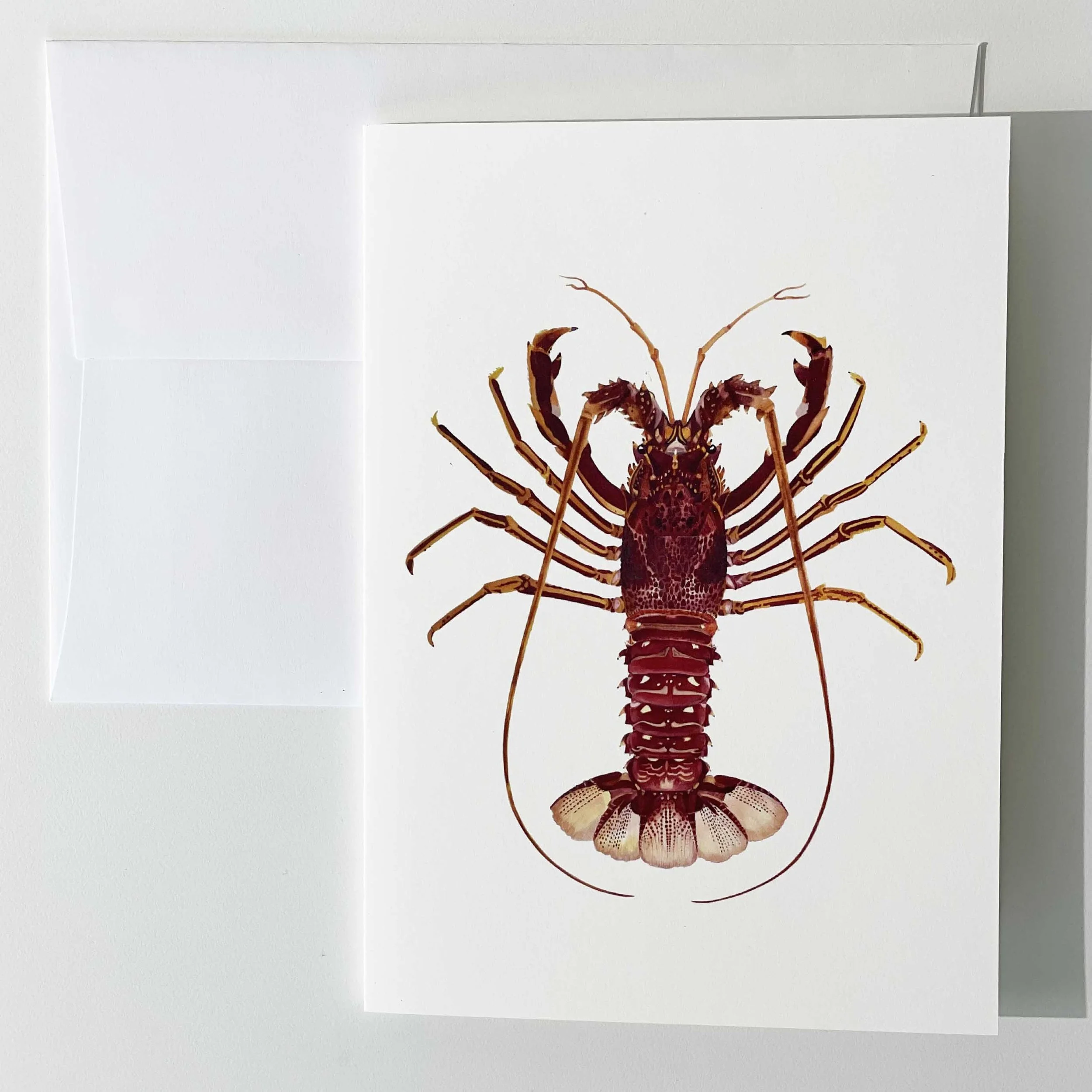 Fine Art Card - Langouste Royal Bretonne