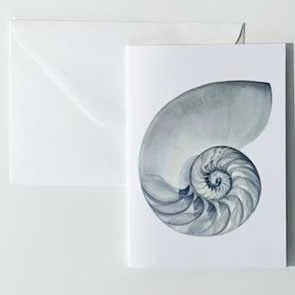 Greeting Card Nautilus