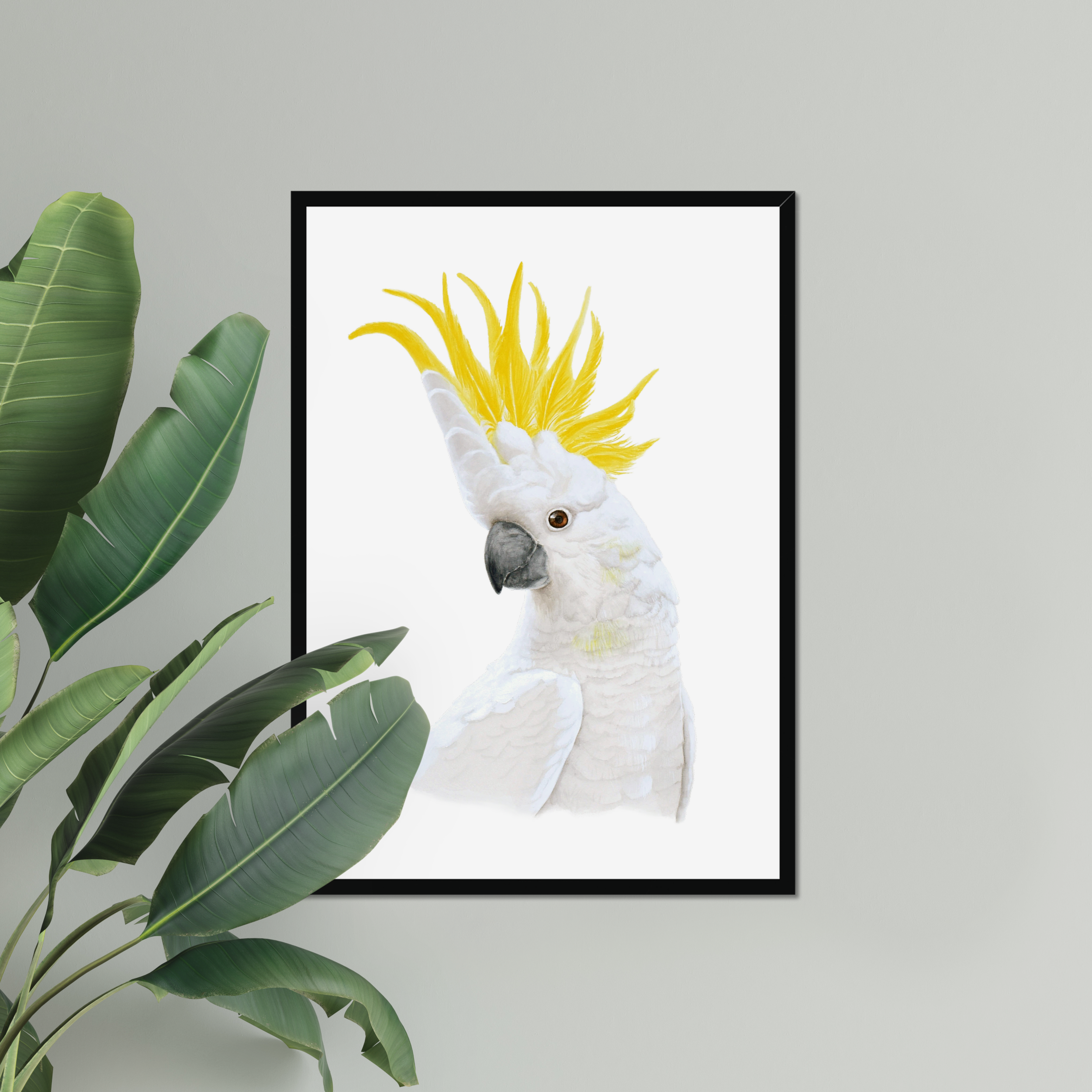 prodigi-global-cfpm-a1-portrait-black-frame-snow-white-mount.png