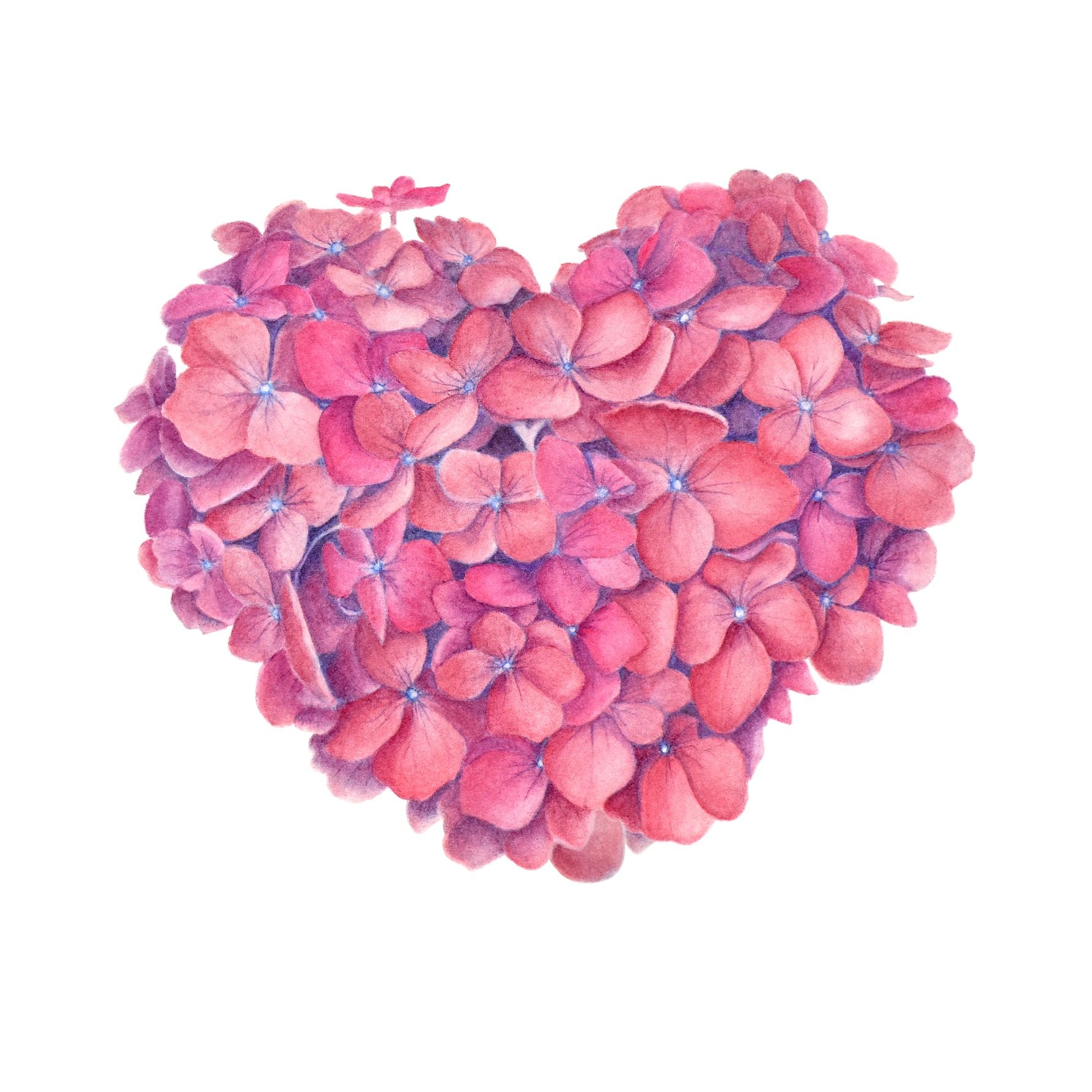 Website+Hydrangea+Heart+Full.jpg