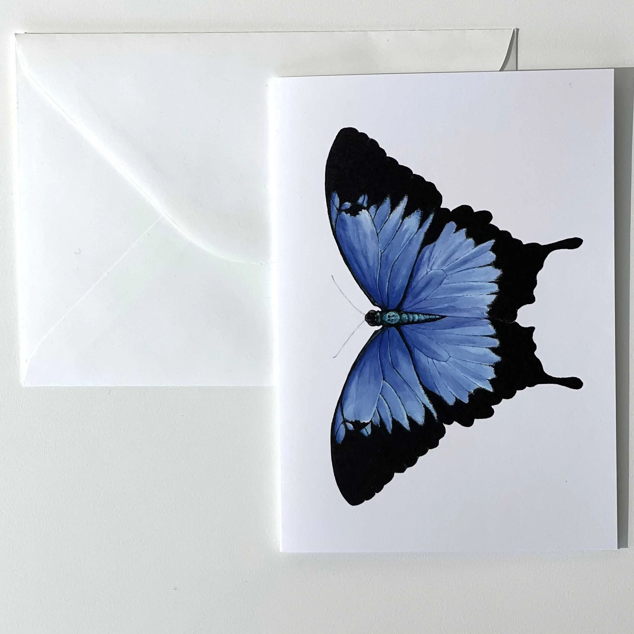 Greeting Card - Ulysses Butterly
