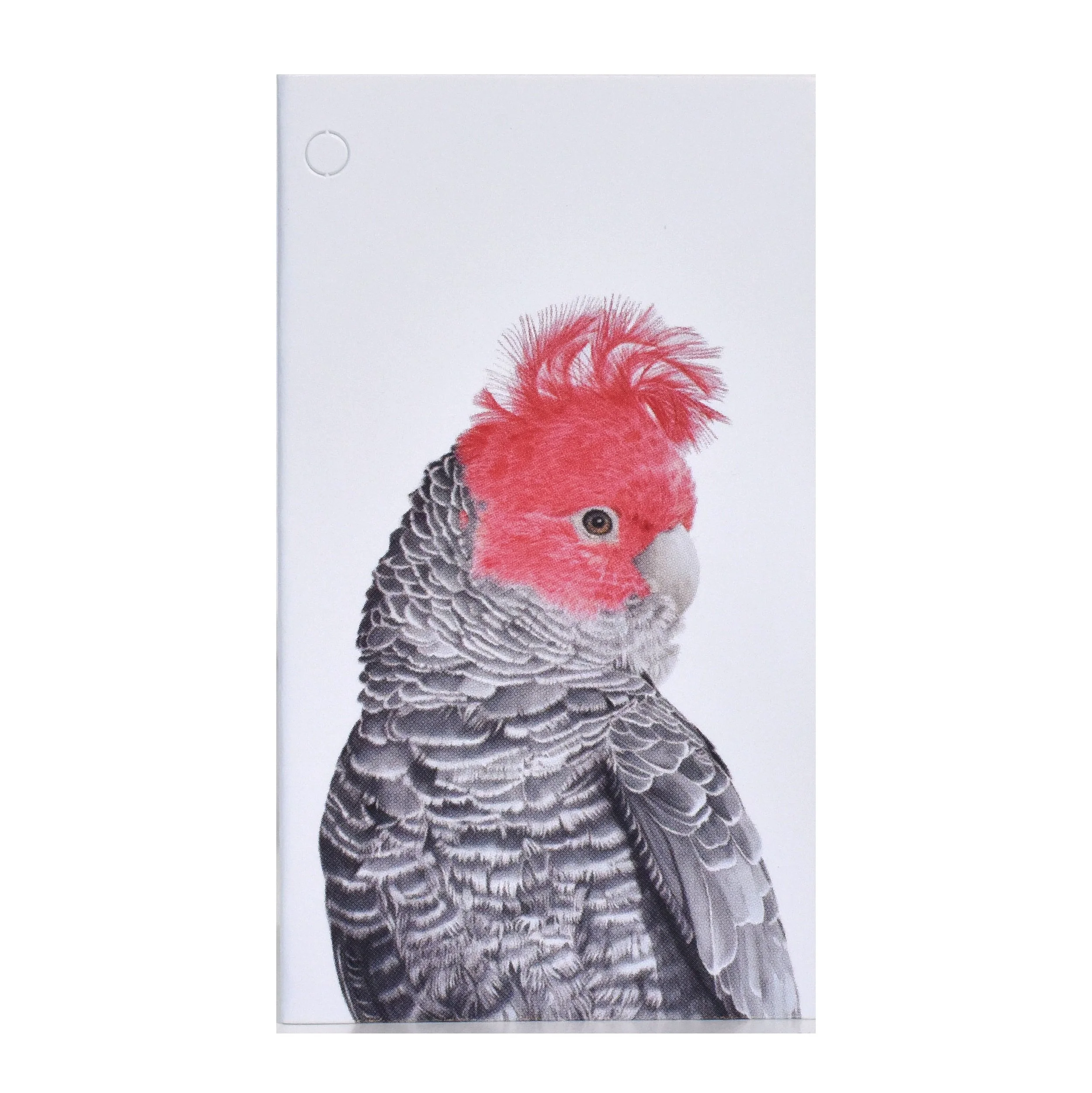 Folded Gift Tag - Gang Gang Cockatoo
