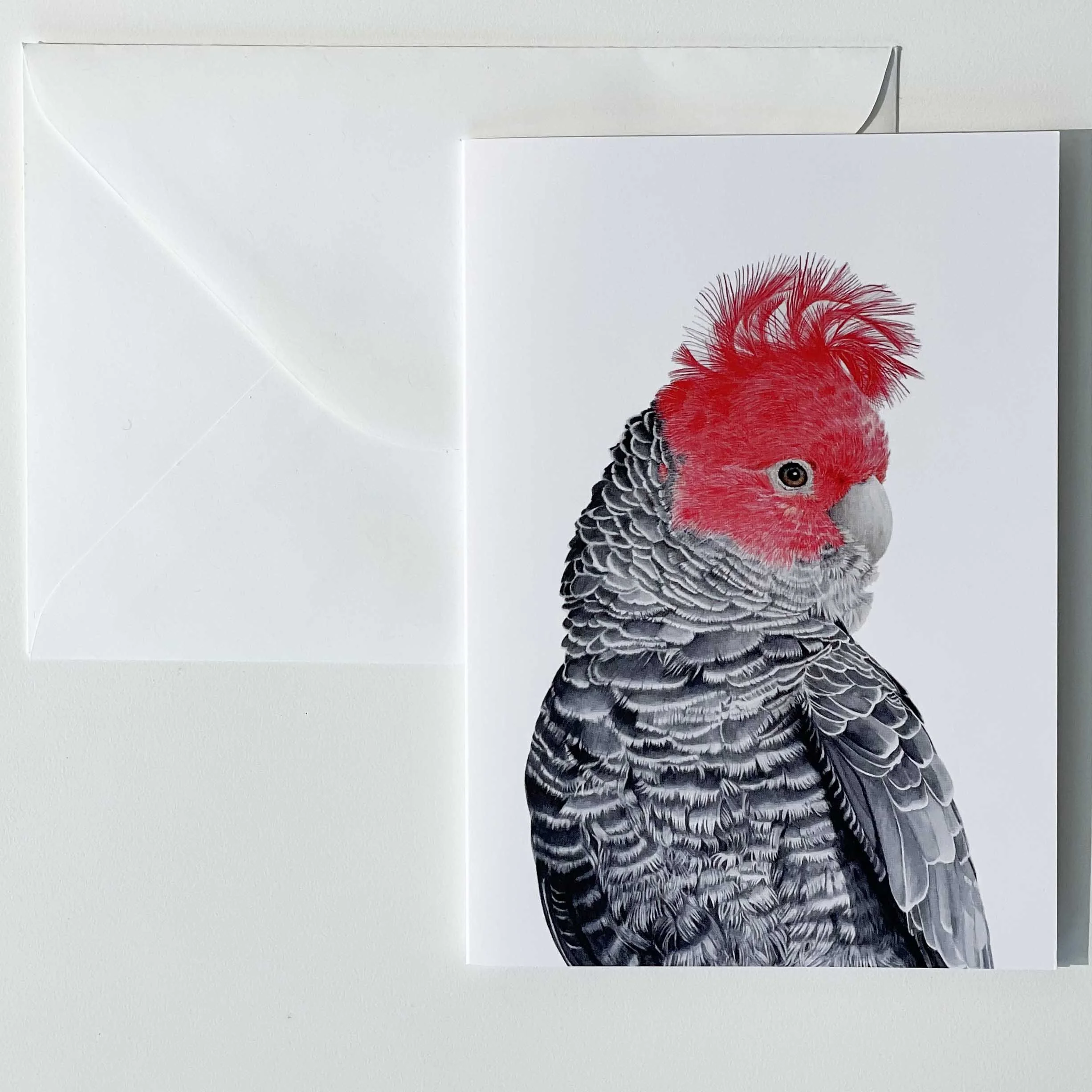 Greeting Card/Portrait - Gang-gang Cockatoo