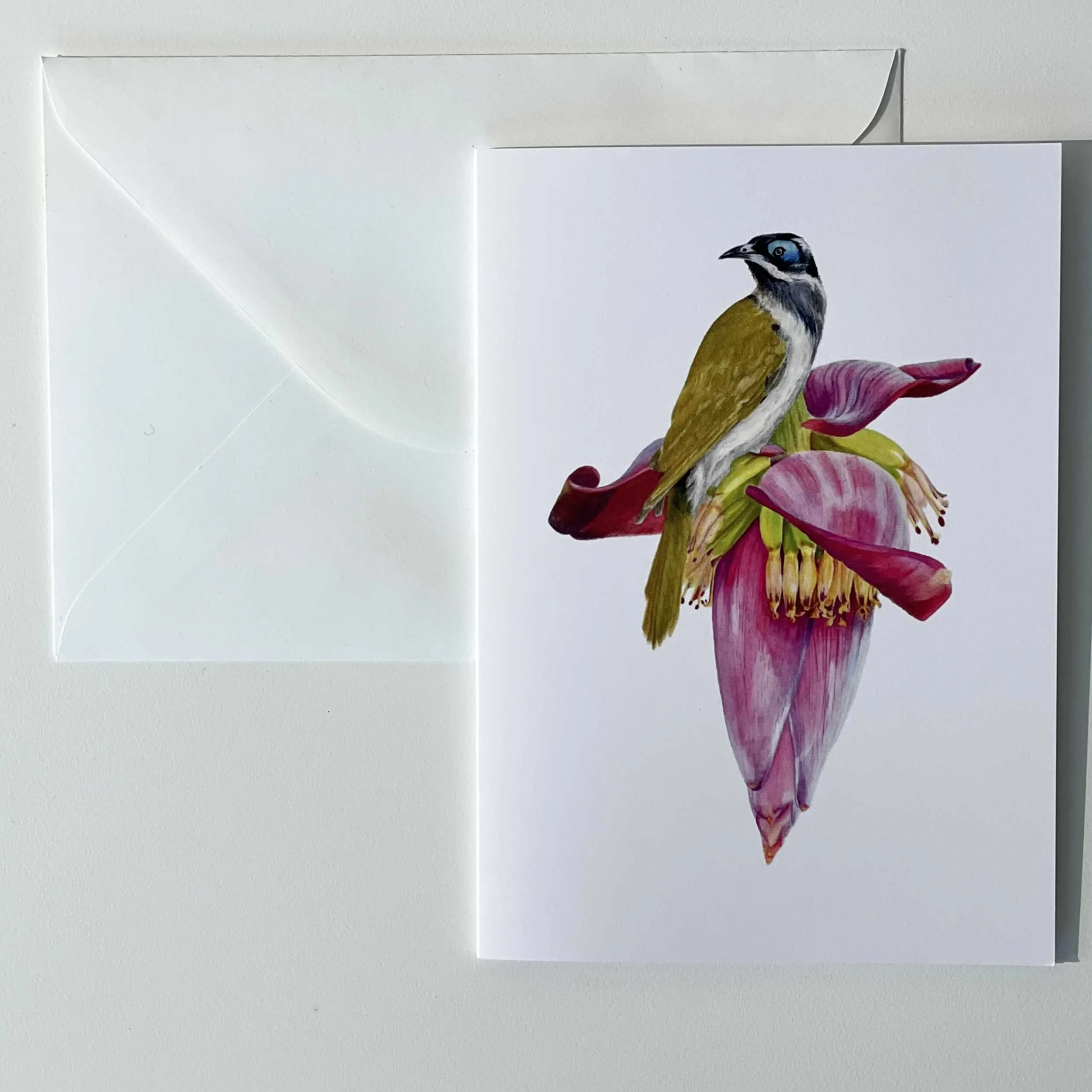 Greeting Card - Honeyeater