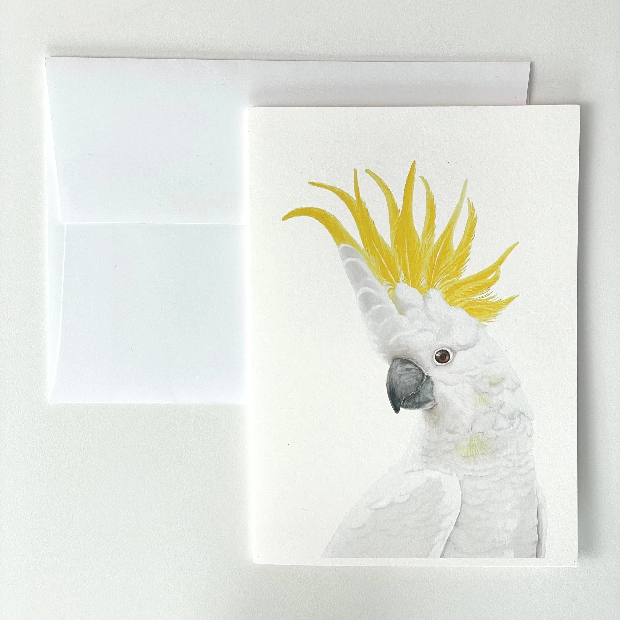 Fine Art Card - Sulphur-crested Cockatoo