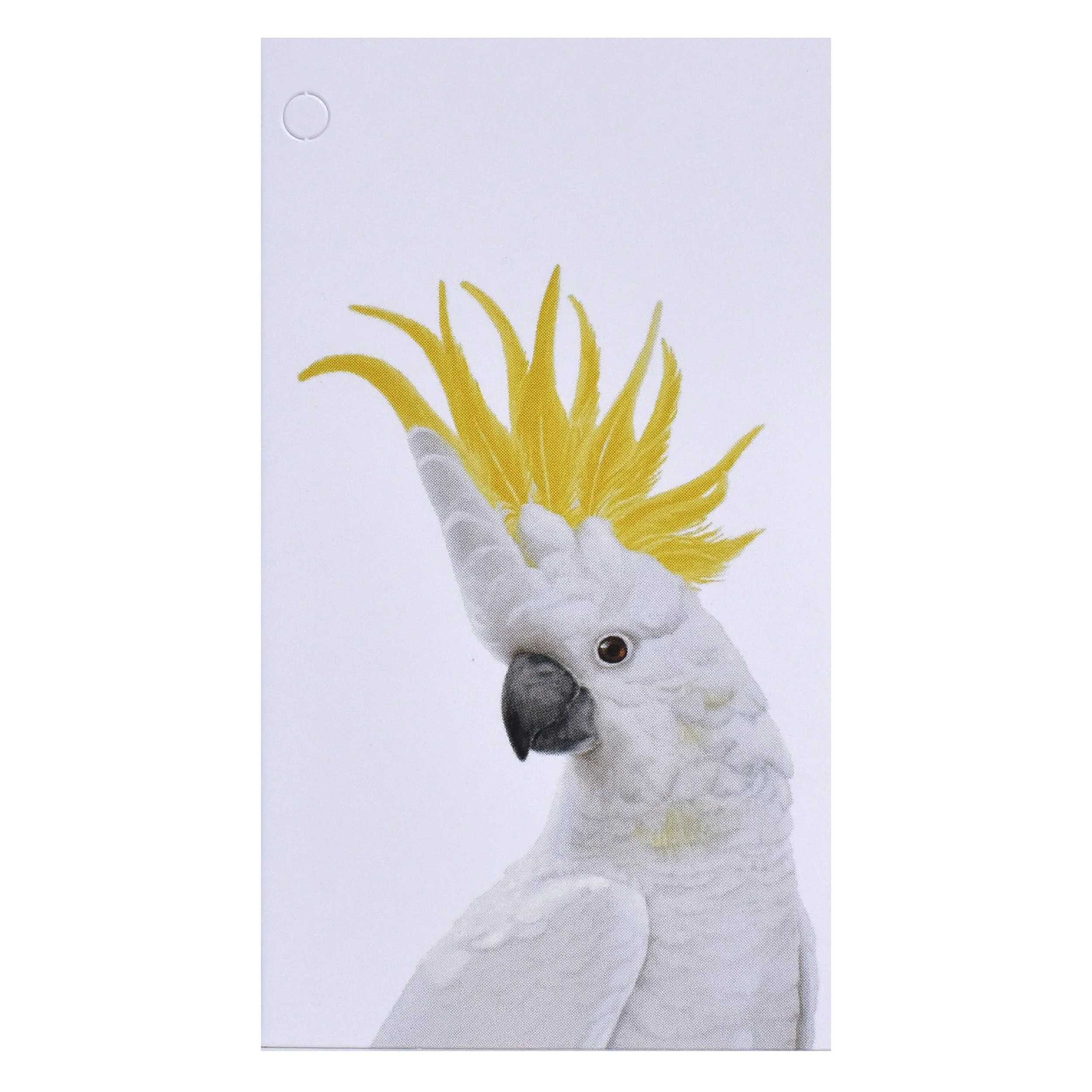 Folded Gift Tag - Cockatoo