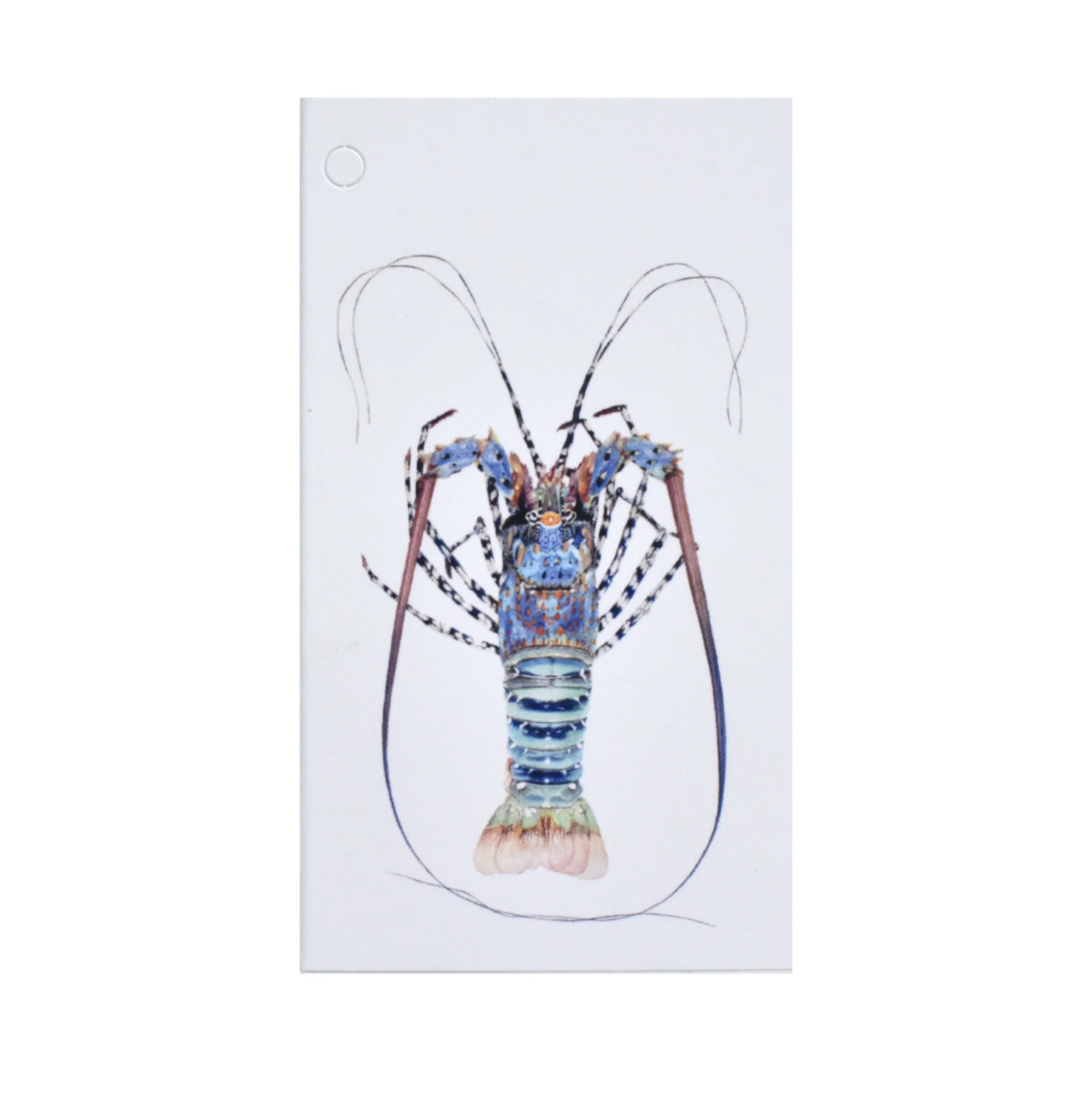 Folded Gift Tag - Ornate Lobster