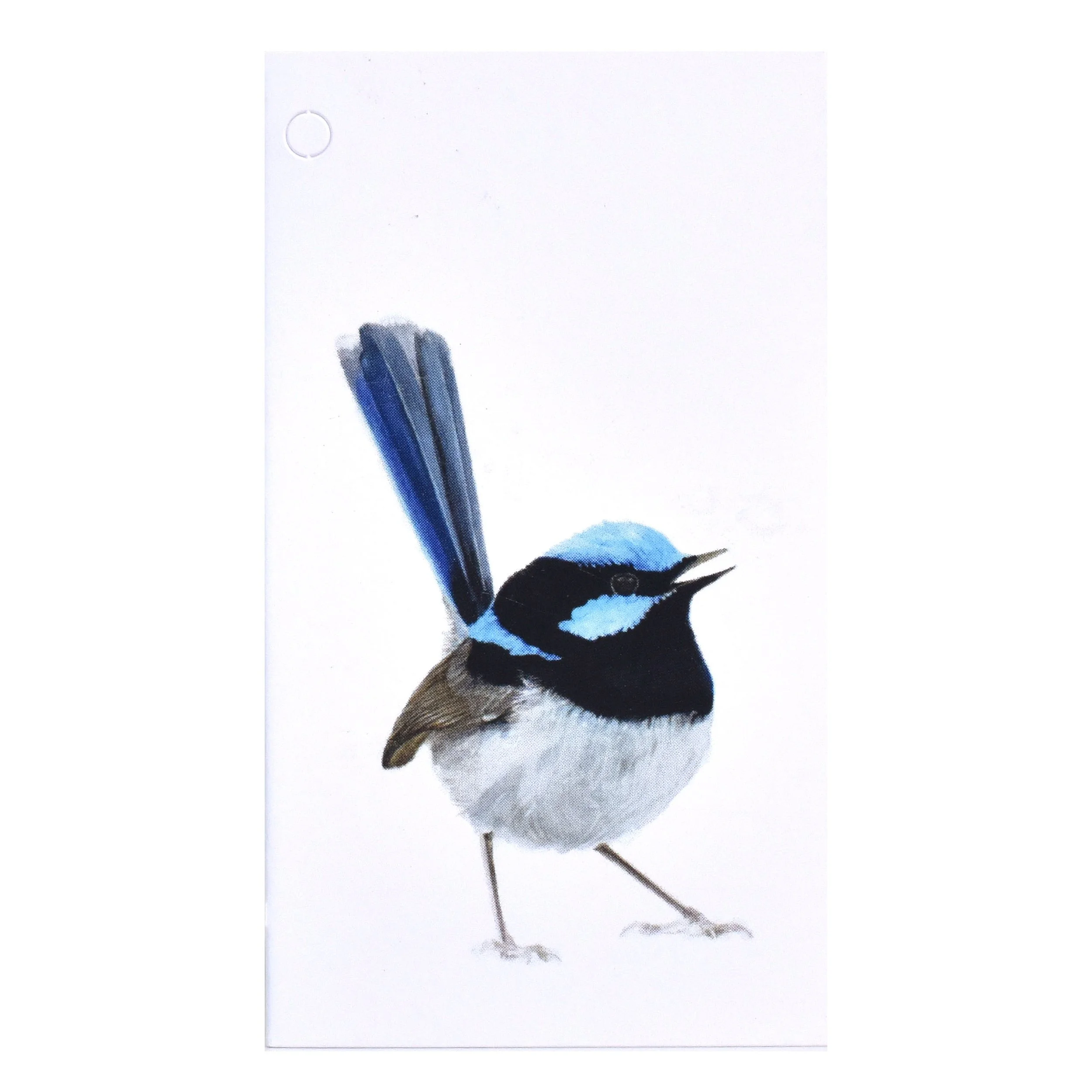 Folded Gift Tag - Superb Fairy-wren