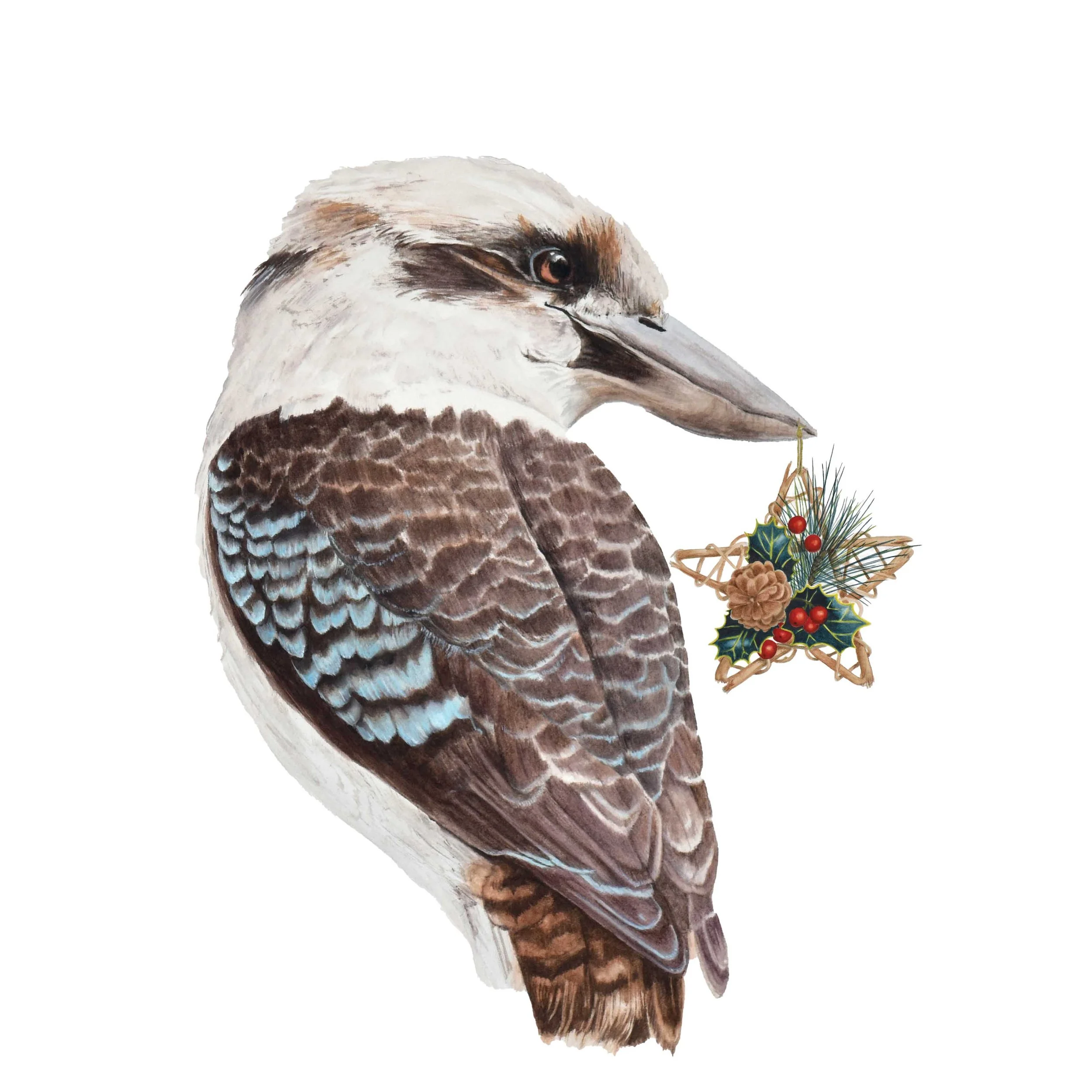 Fine Art Card - Christmas - Kookaburra Xmas Star