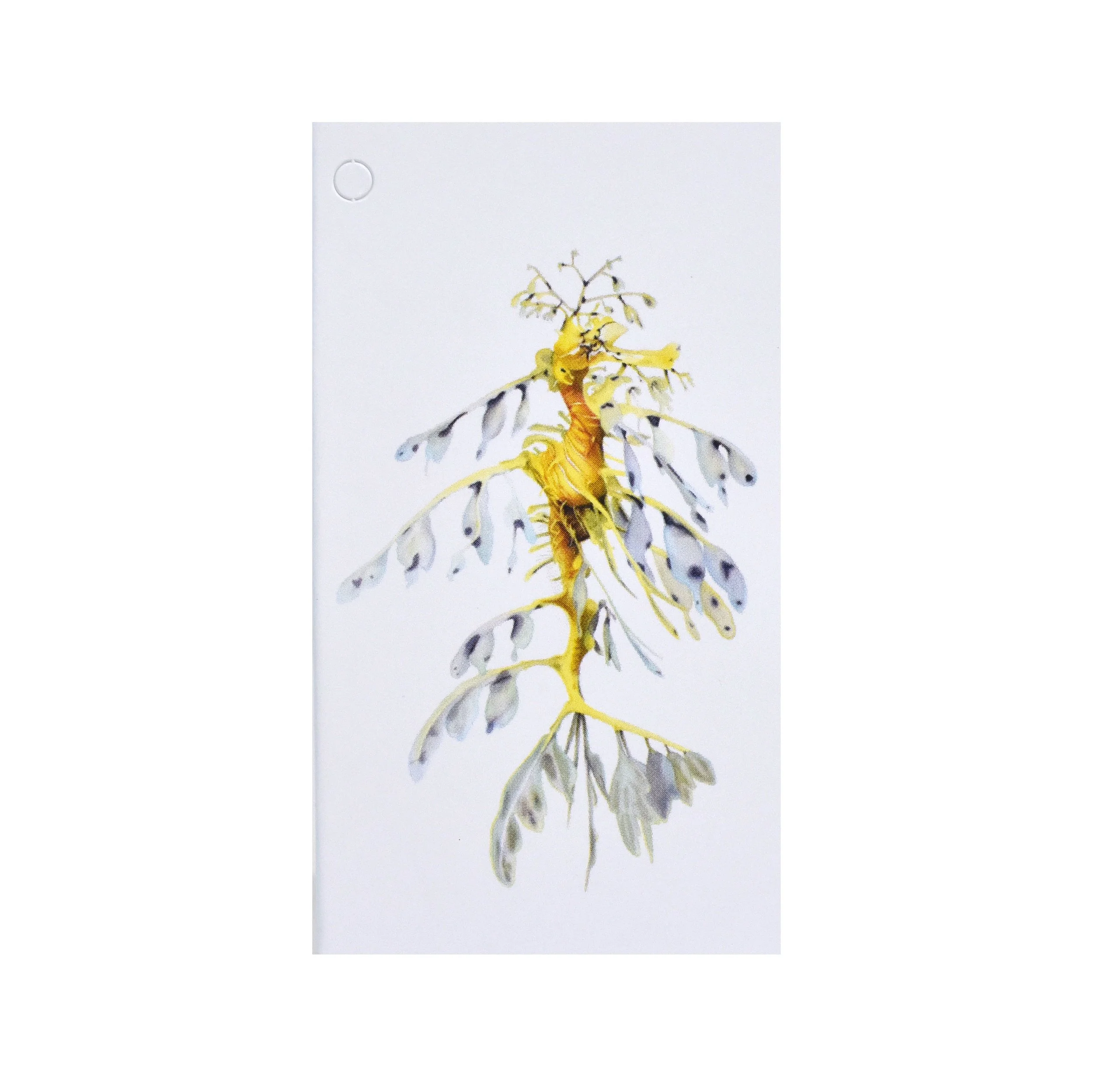 Folded Gift Tag - Leafy SeaDragon