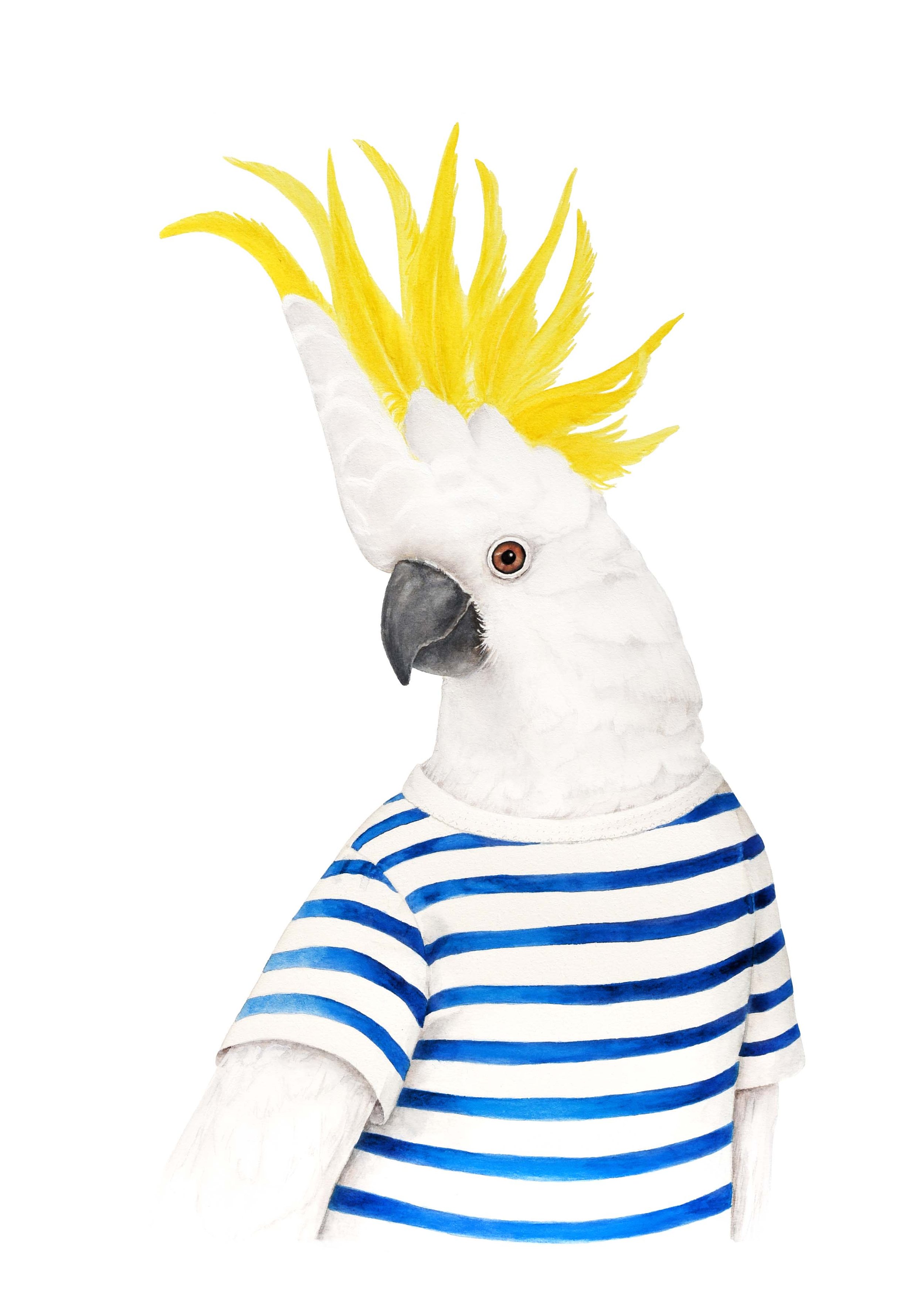 Sulph Cockatoo Sacre Bleu.jpg