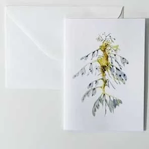 Greeting Card - Leafy Seadragon