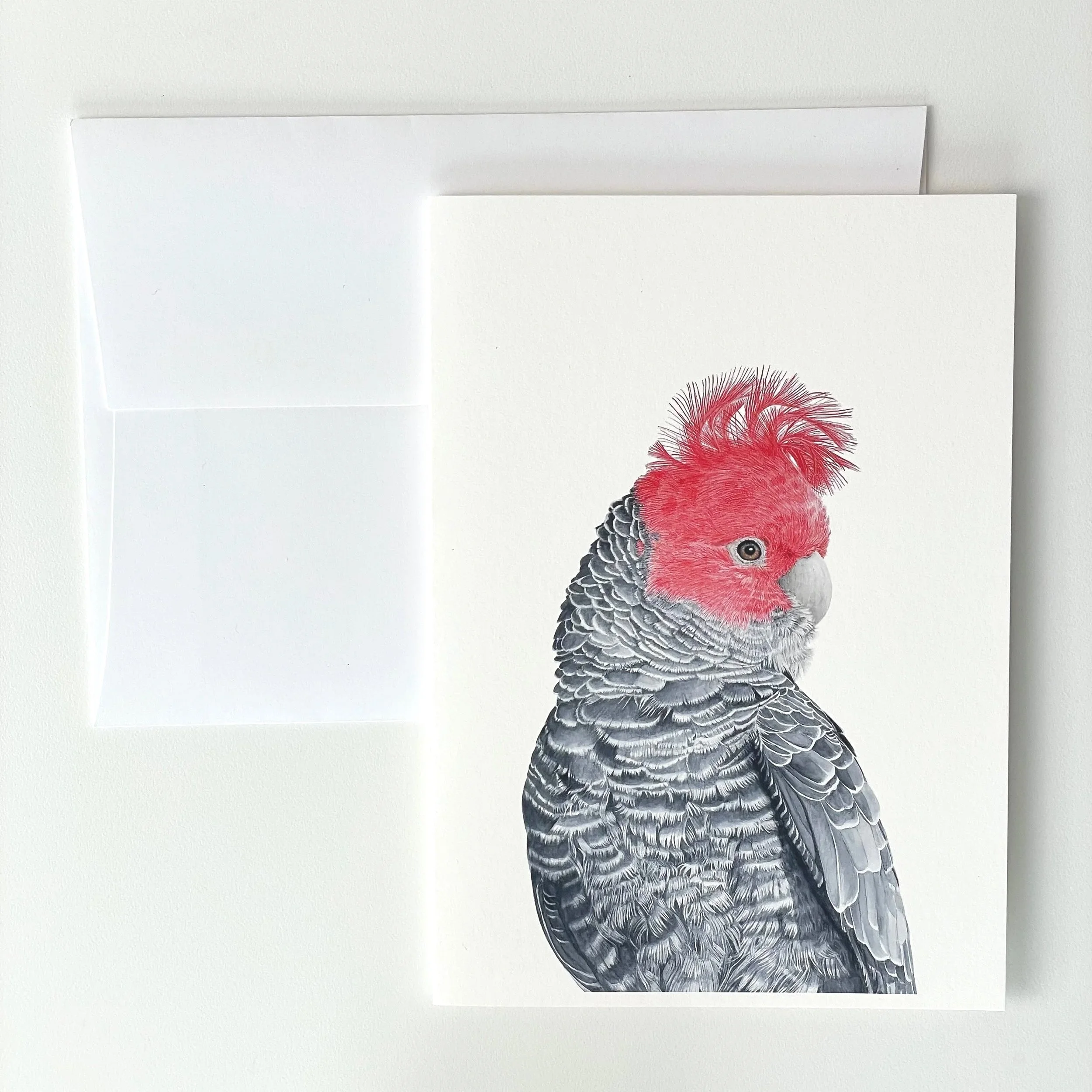 Fine Art Card - Gang-gang Cockatoo