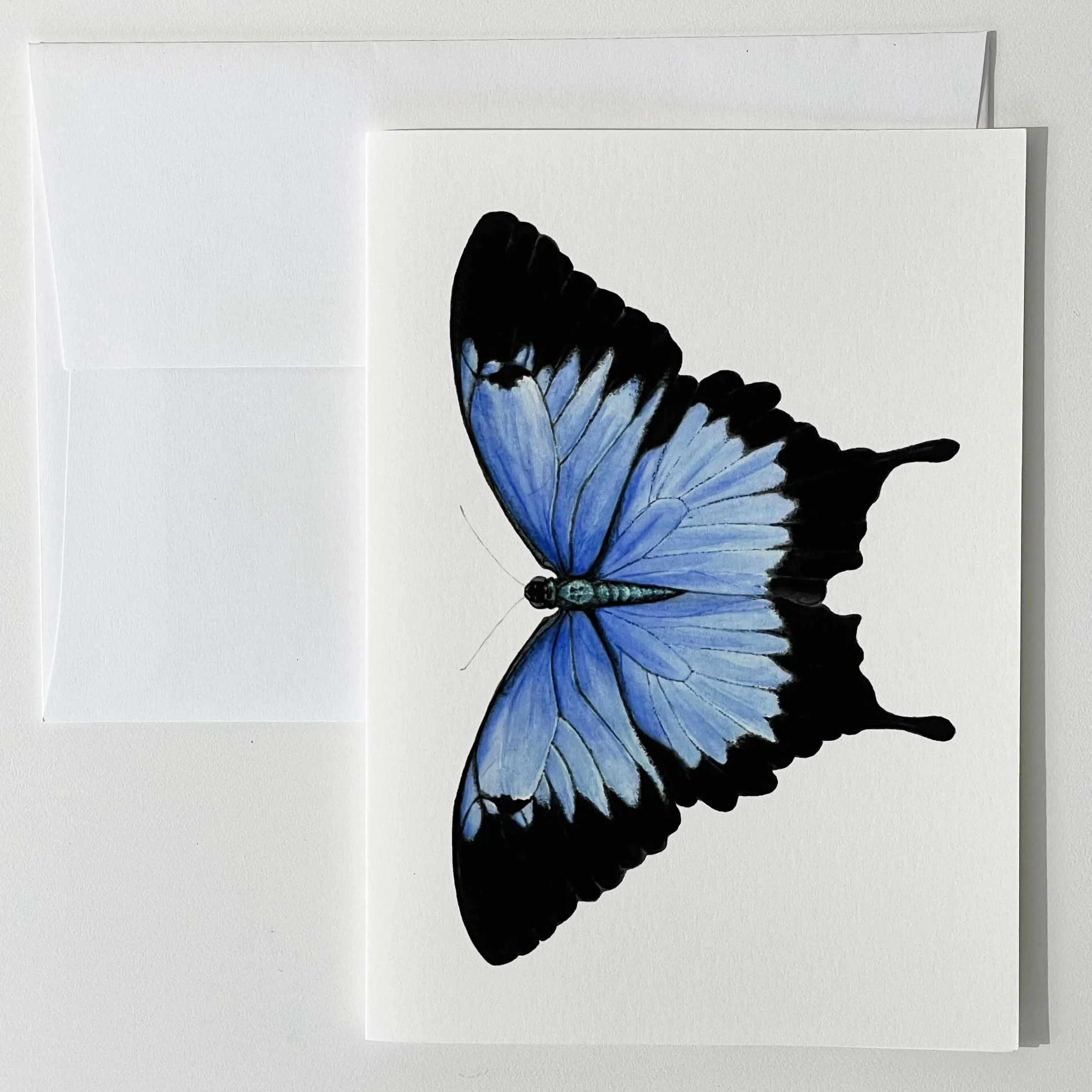 Fine Art Card - Ulysses Butterfly