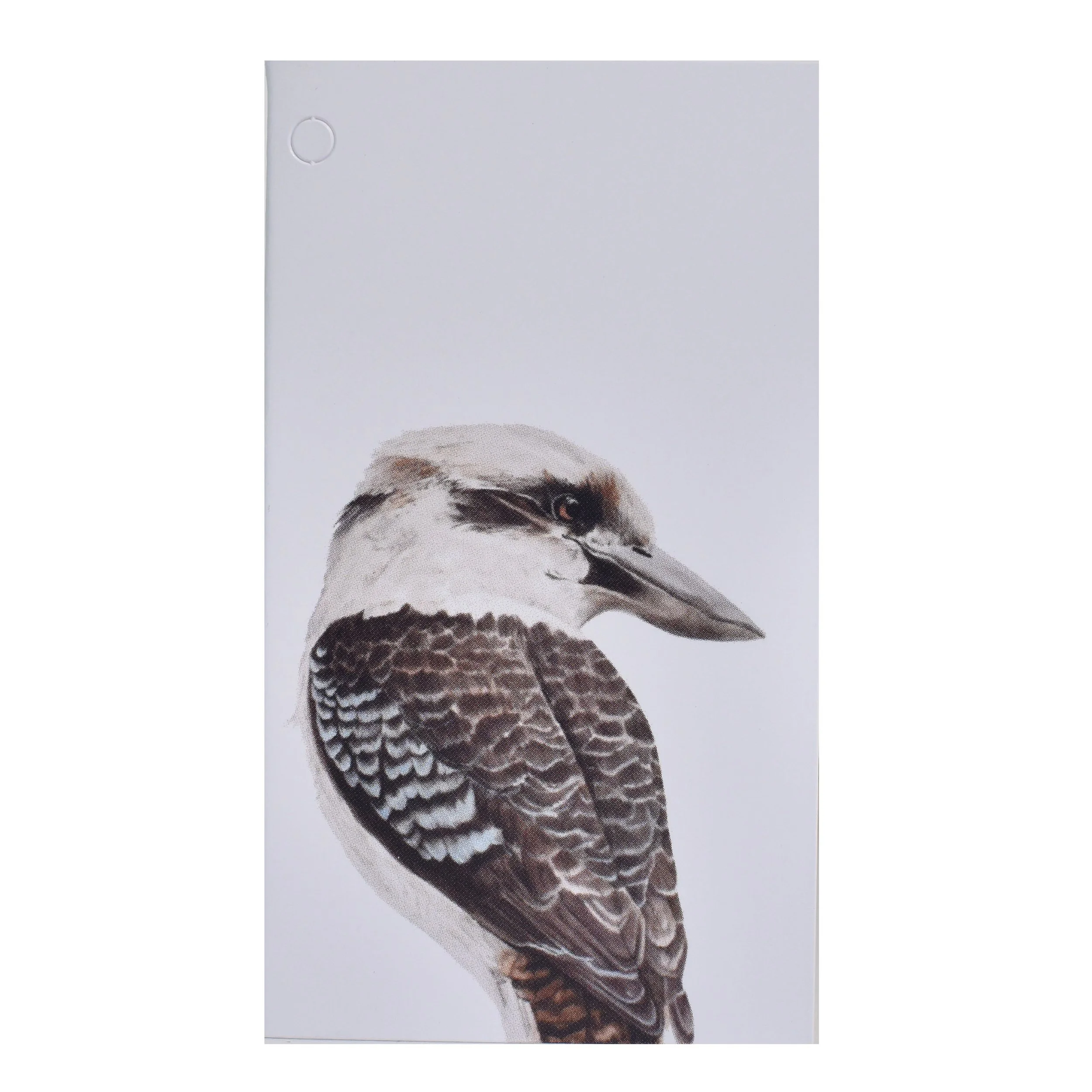 Folded Gift Tag - Kookaburra
