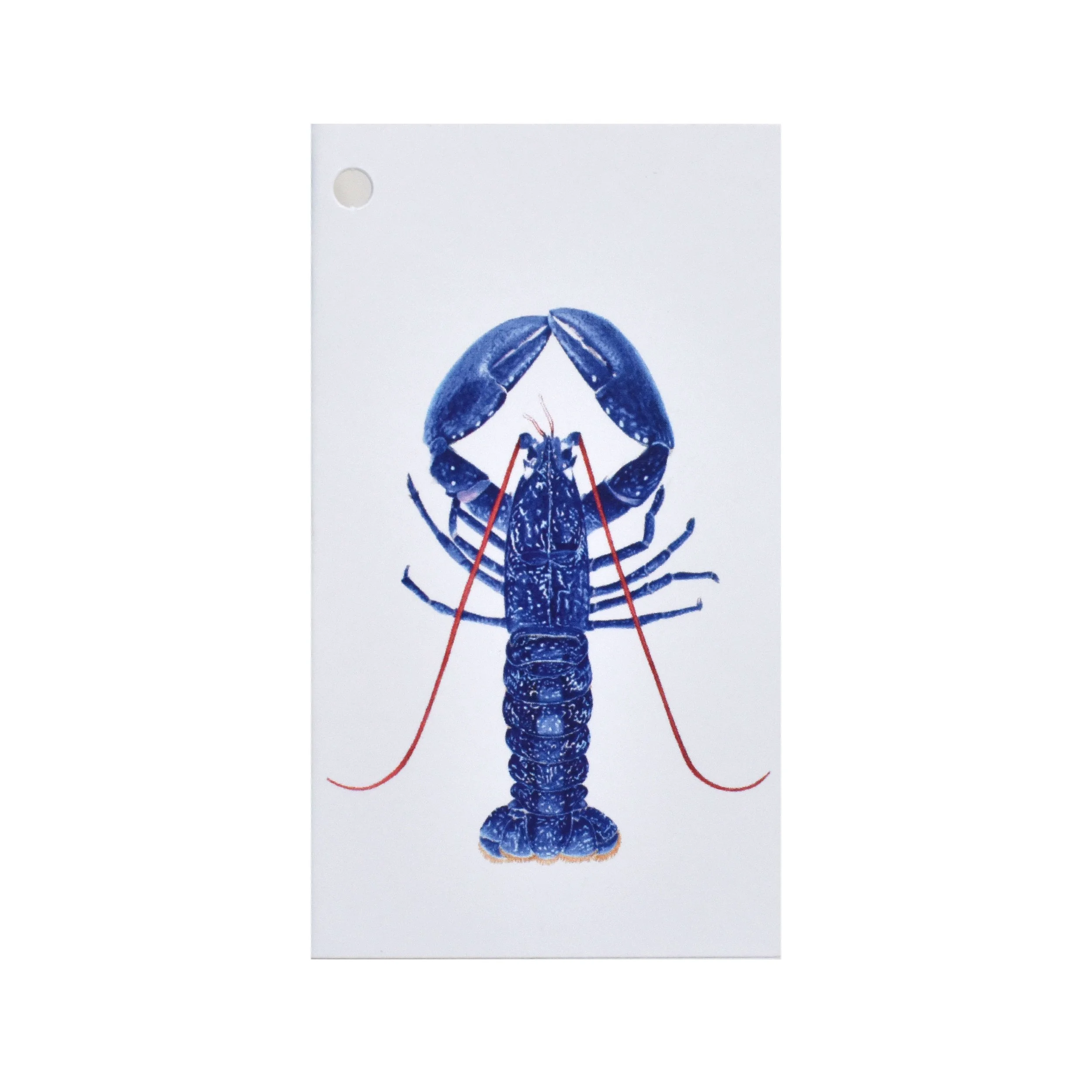 Folded Gift Tag - Blue Lobster (Homard)