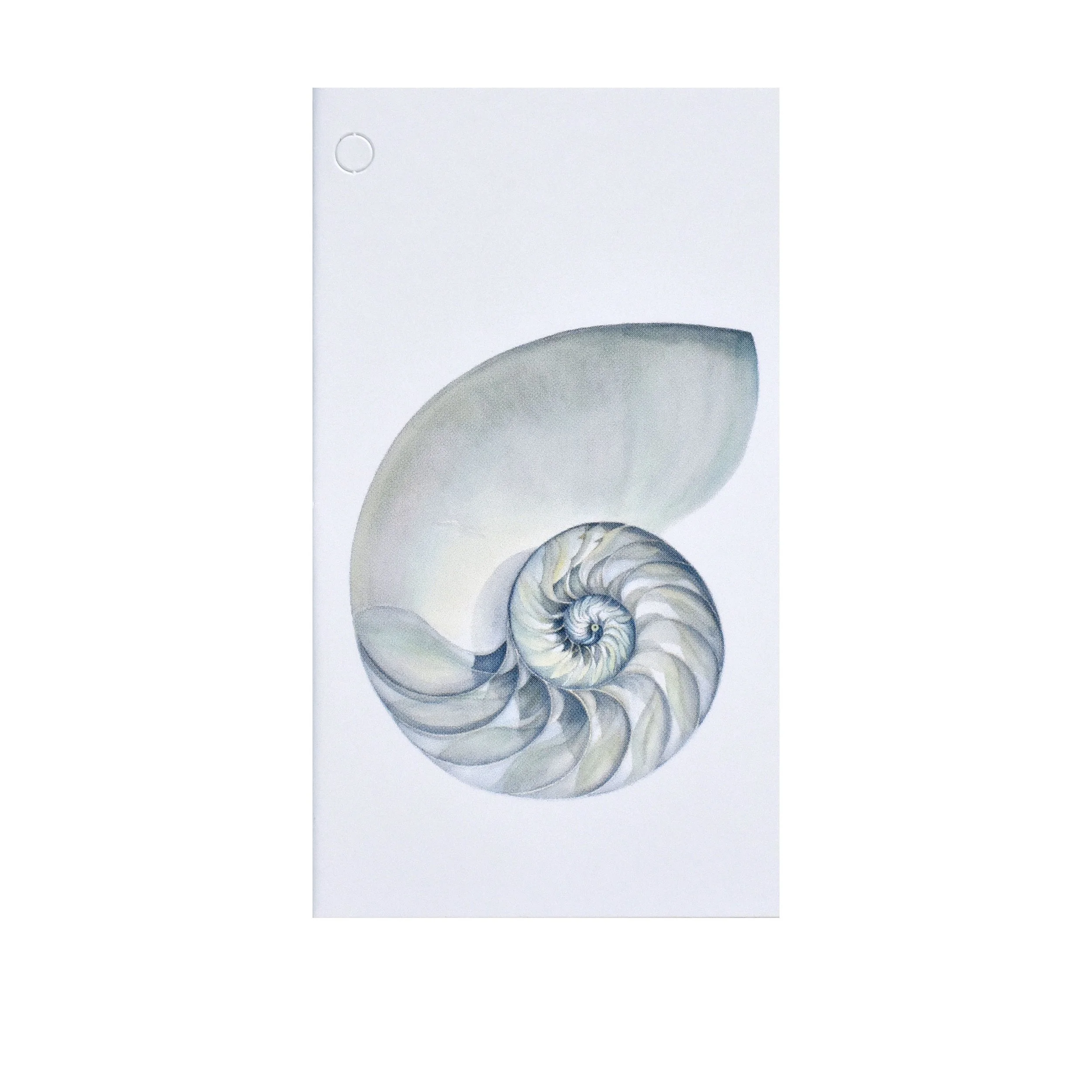 Folded Gift Tag - Nautilus