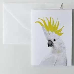 Greeting Card/Portrait - Sulphur-crested Cockatoo