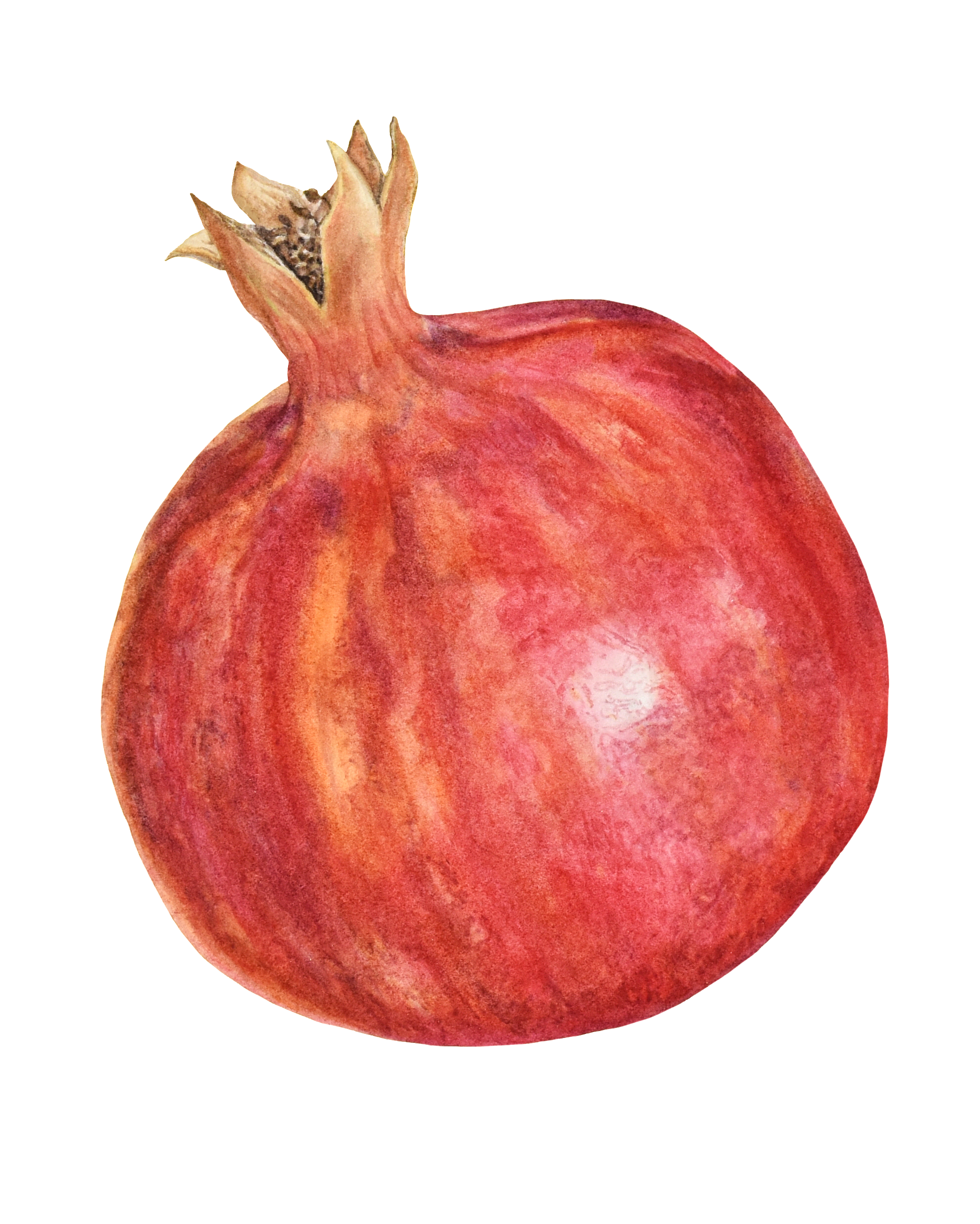 Asset Pomegranate.png